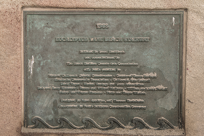 Bortolazzo and Appleton-Beach