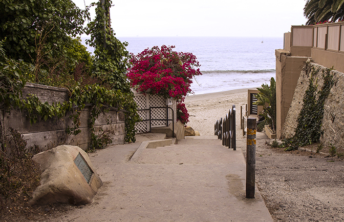 Bortolazzo and Appleton-Beach