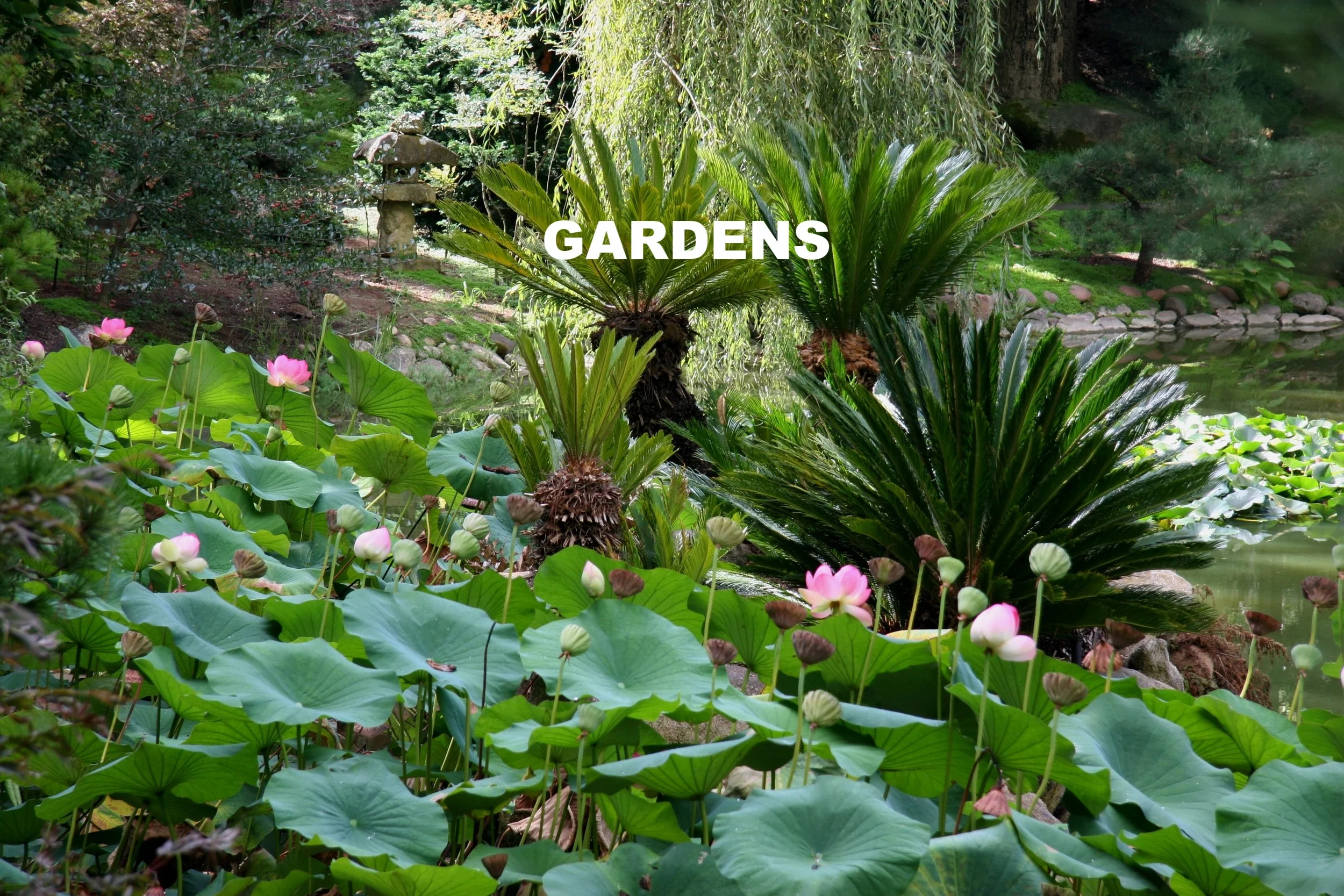 GARDENS
