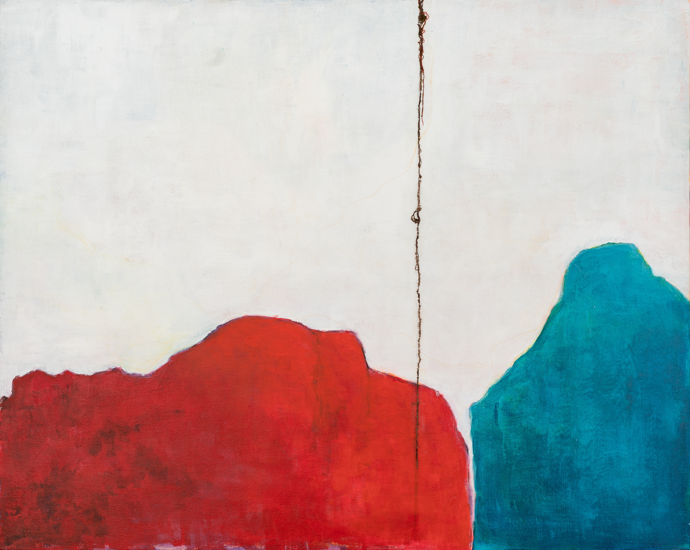 mary dee thompson-Divided .jpg