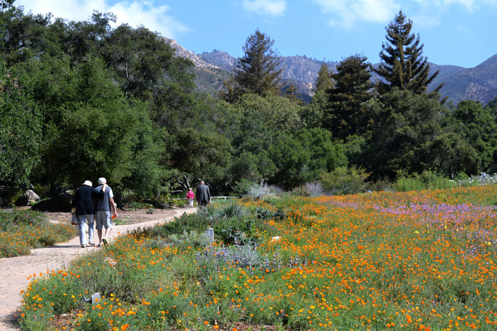 Santa Barbara Botanic Garden