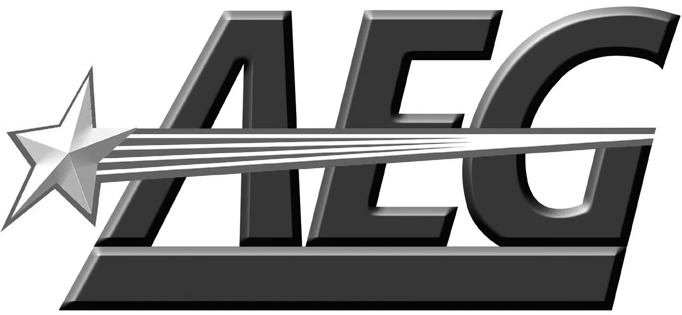 aaron_feinberg_consulting_client_aeg.jpg