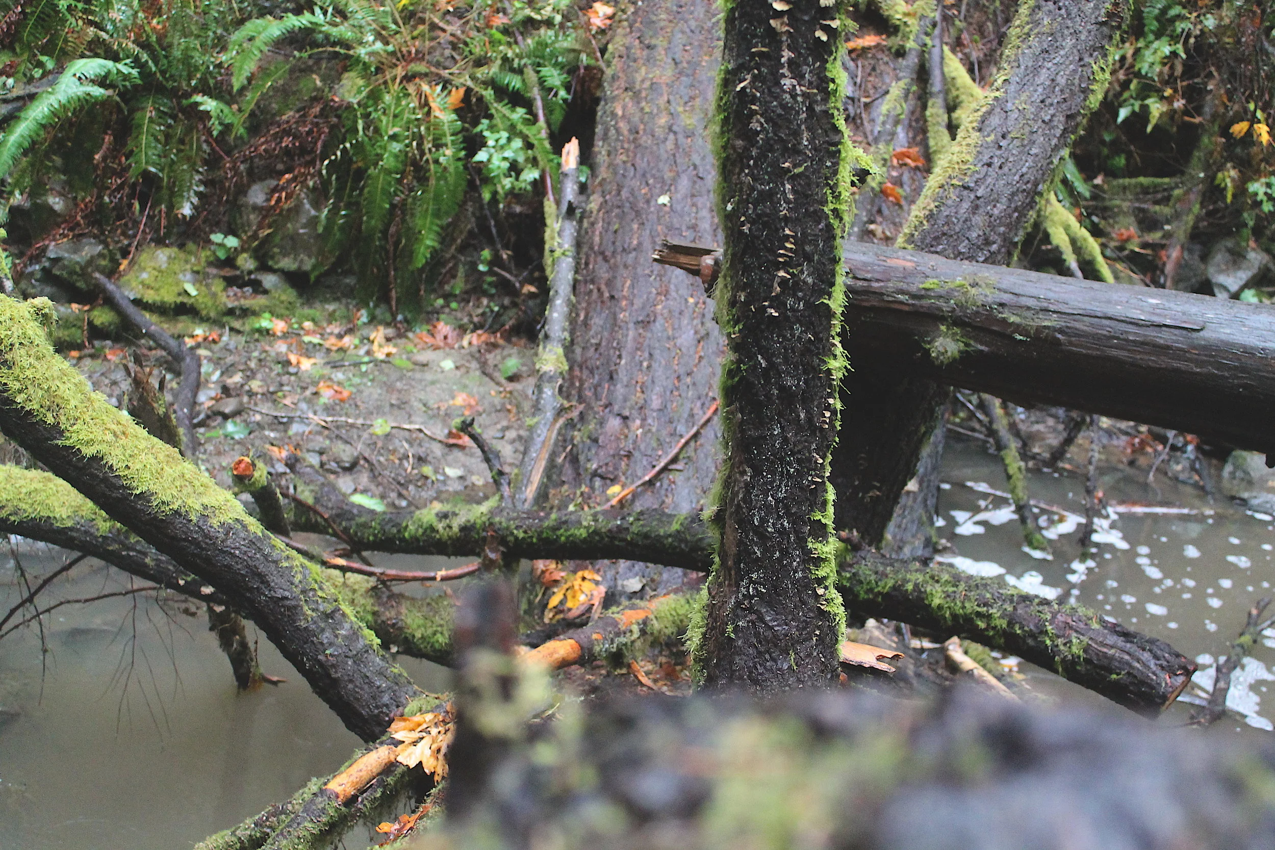 Dancing Without a Drink in Hand