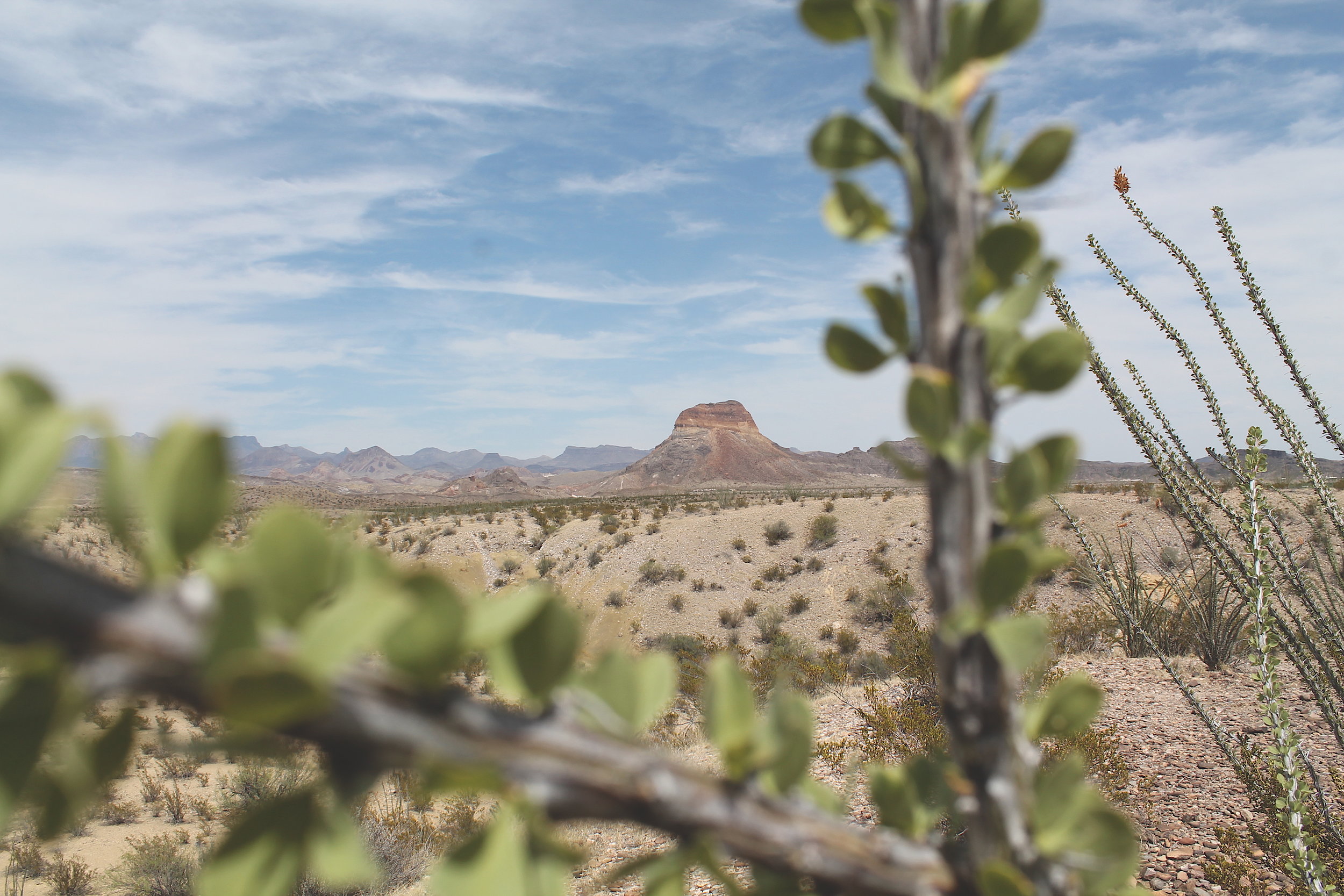 To my friends with sleepless nights.