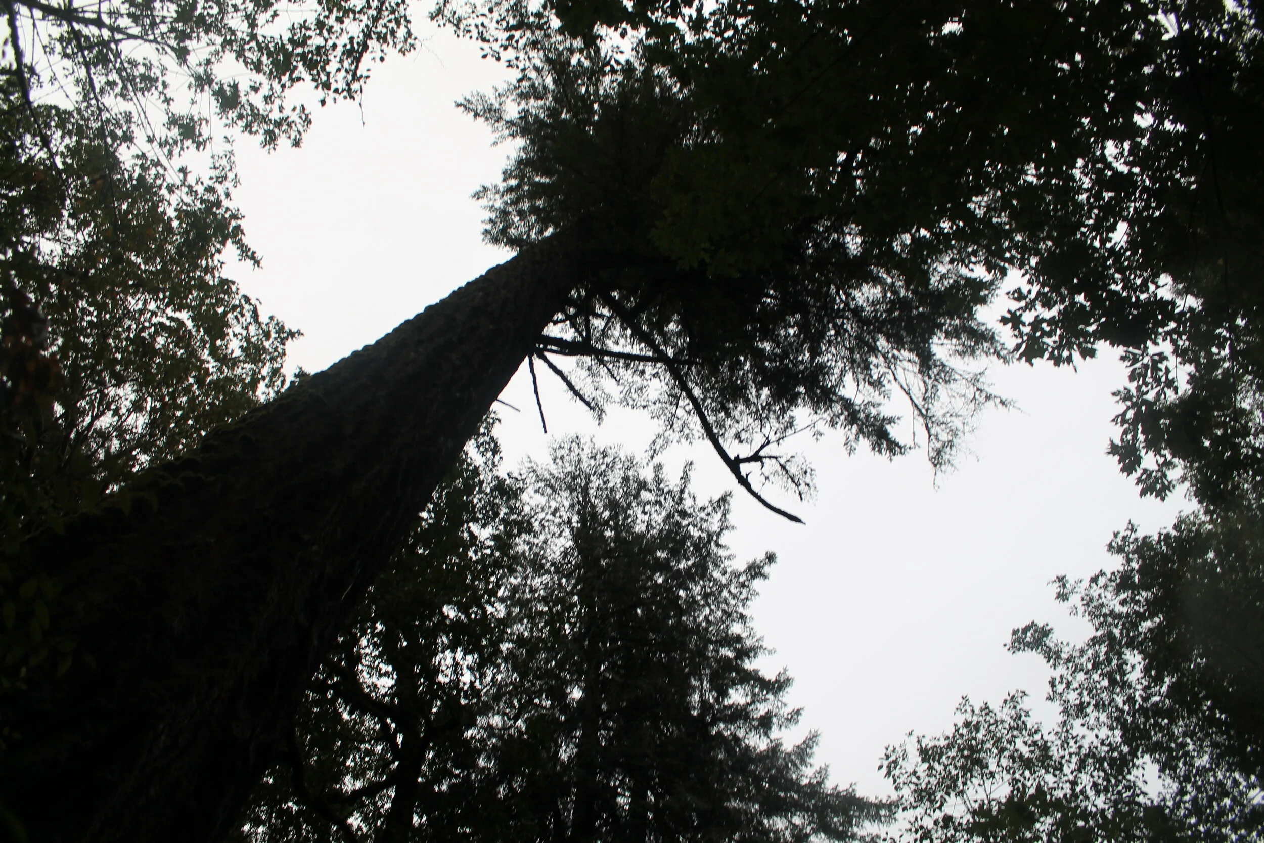 Missing Pieces, Part Four