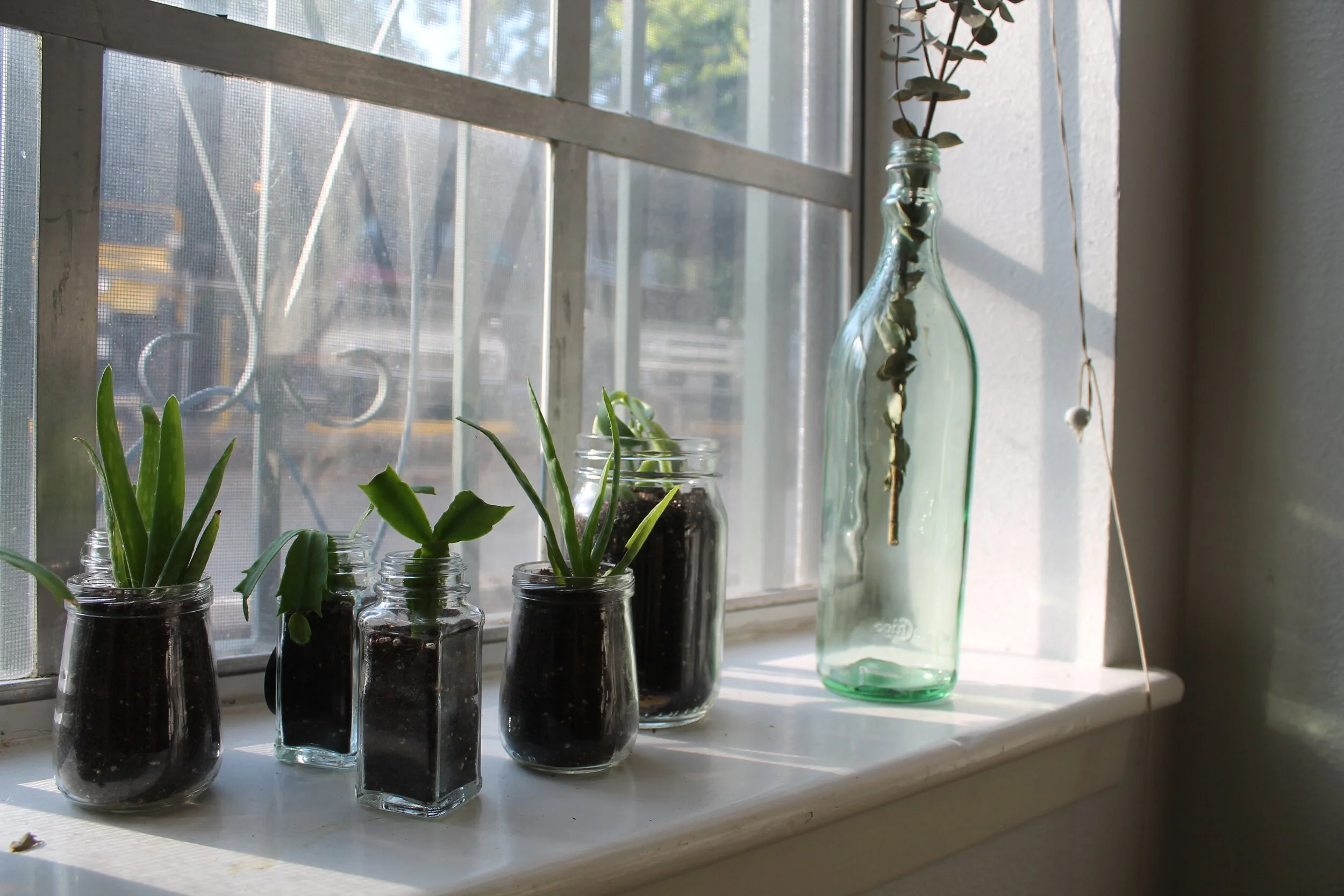 Elevate your community, support small businesses