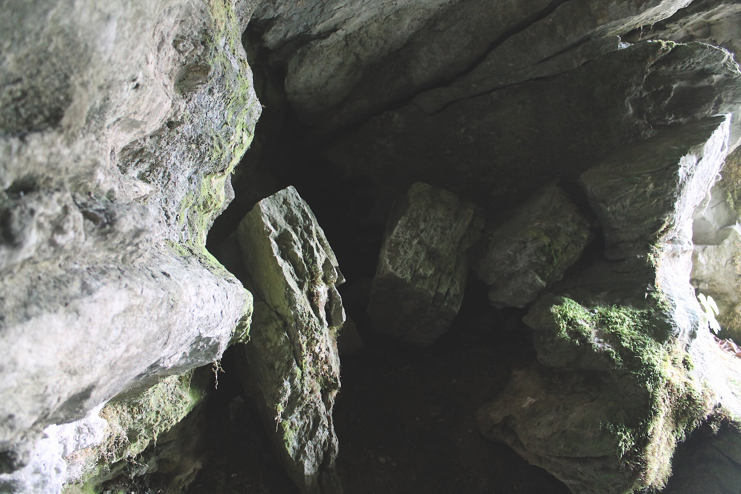 Horror Movies to Pair With Life Predicaments