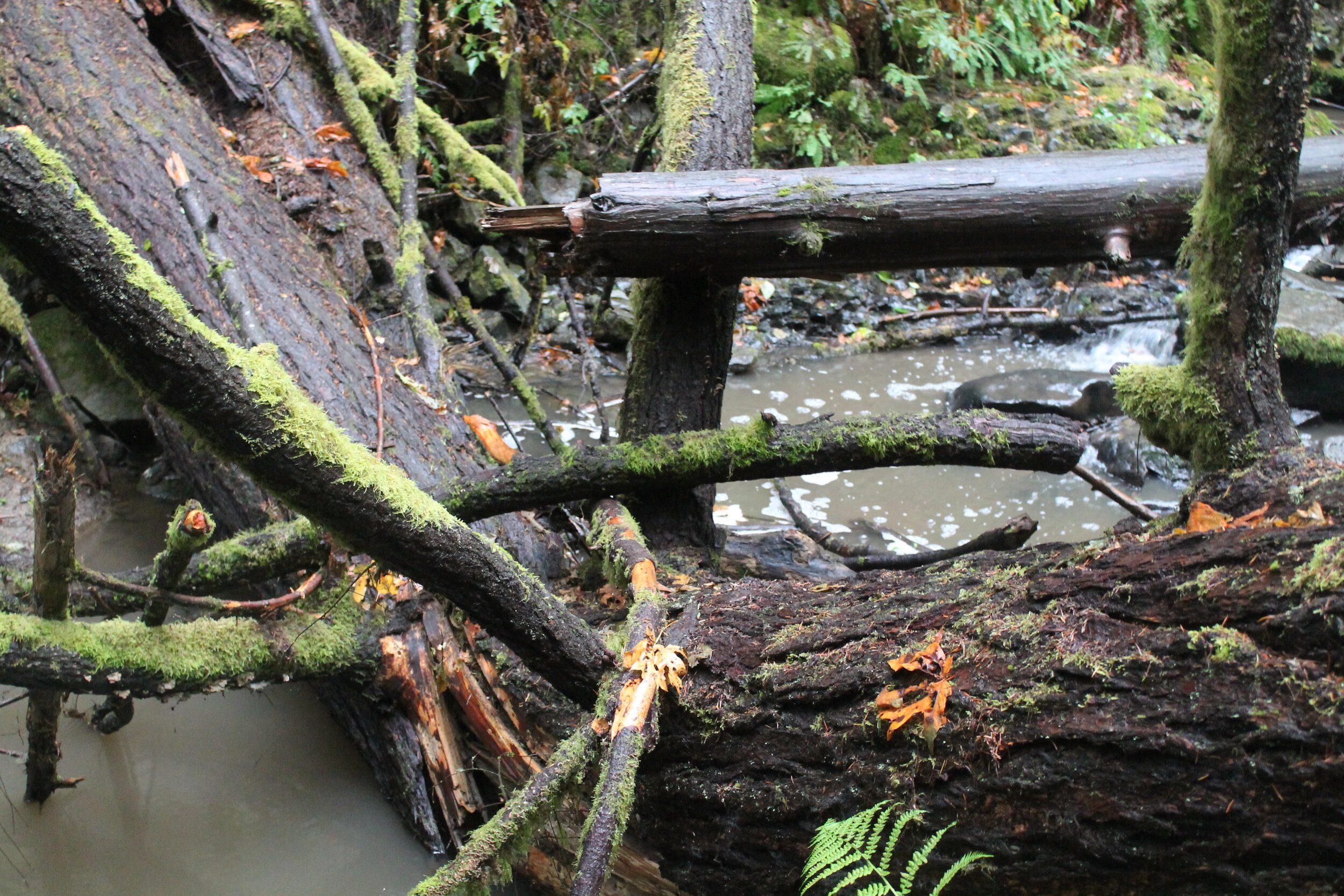 Missing Pieces, Part One