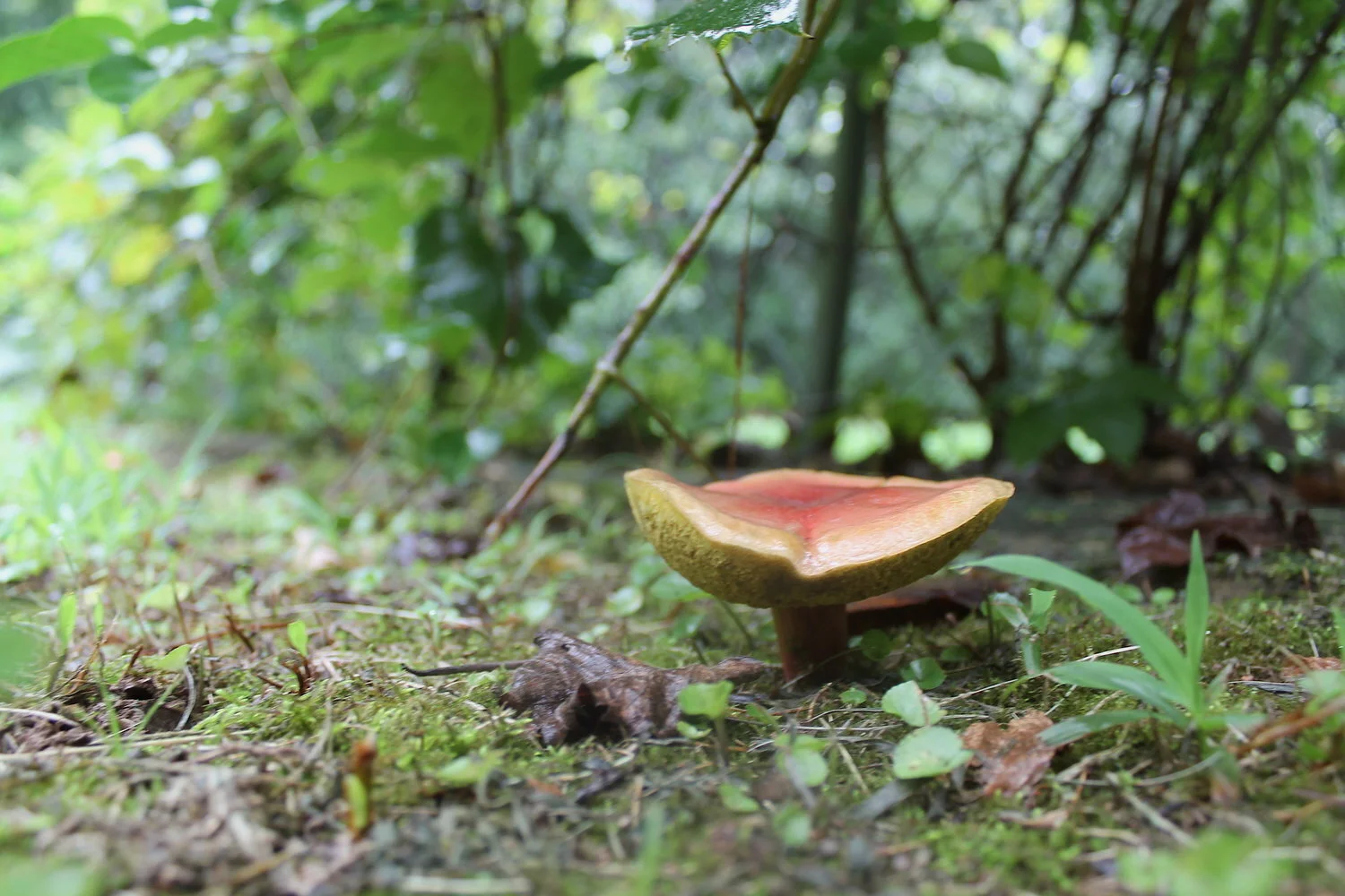 I have to care for myself first to then care for you.