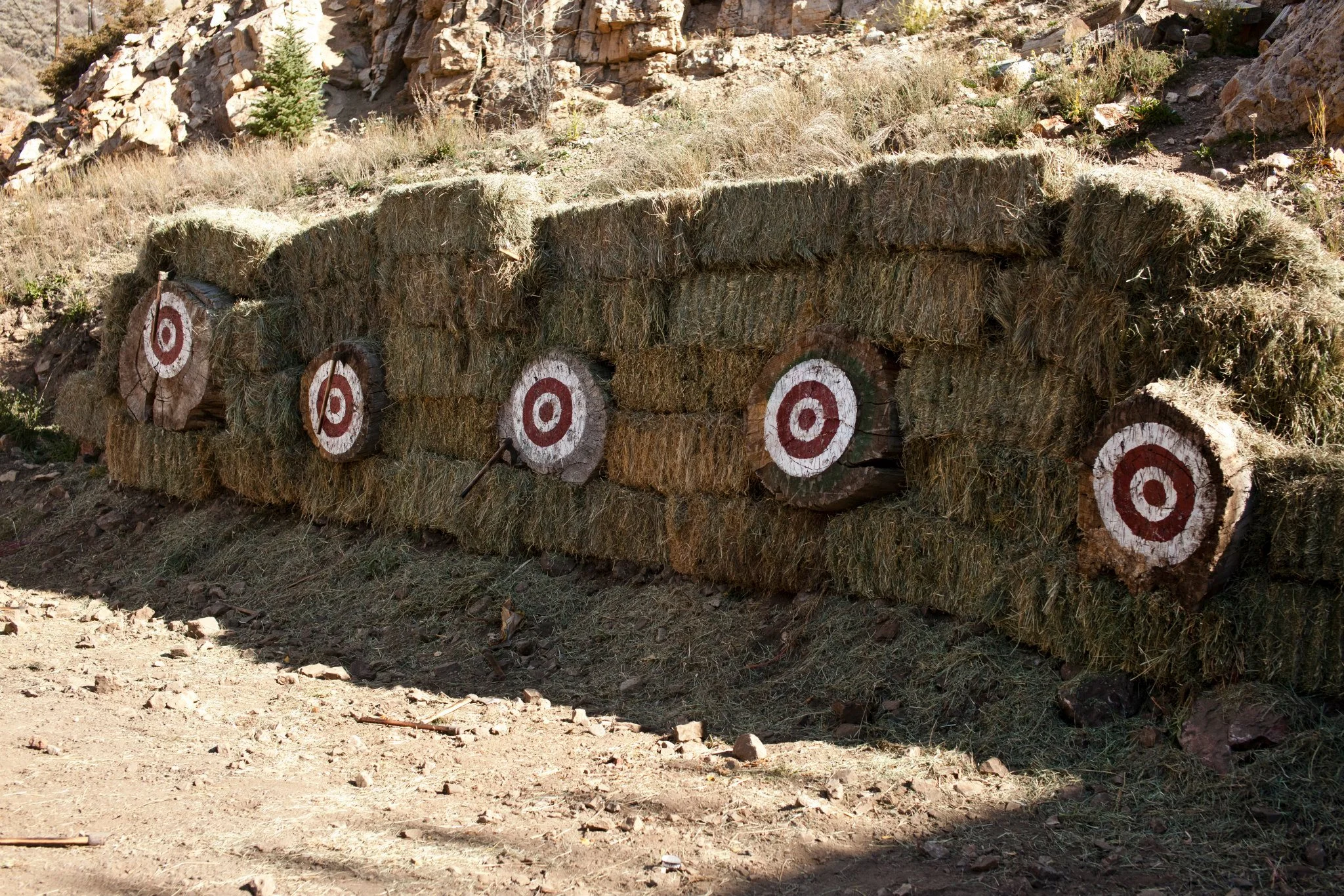 128.jpg