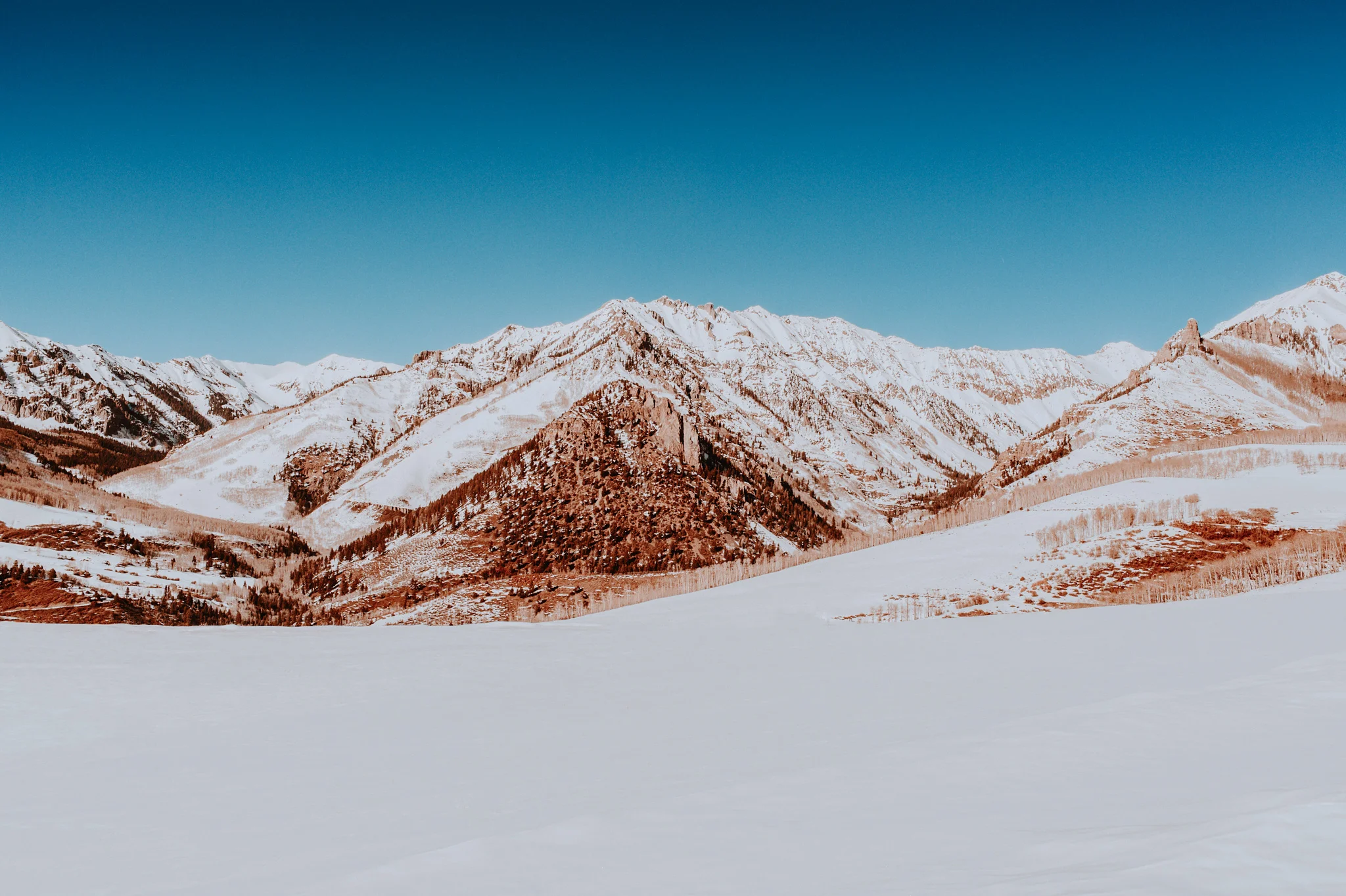 _81A2522-Edit-Edit.jpg