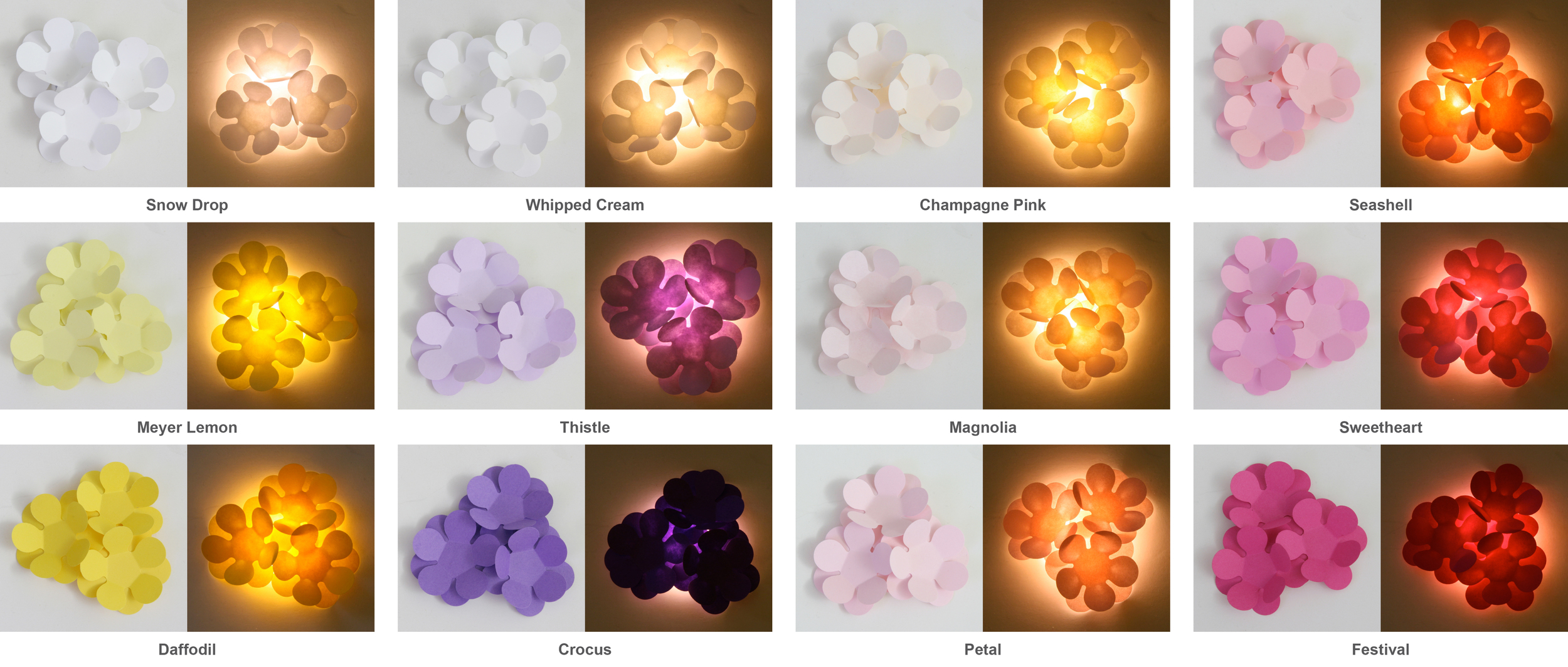 ColorChart_Hydrangea.jpg