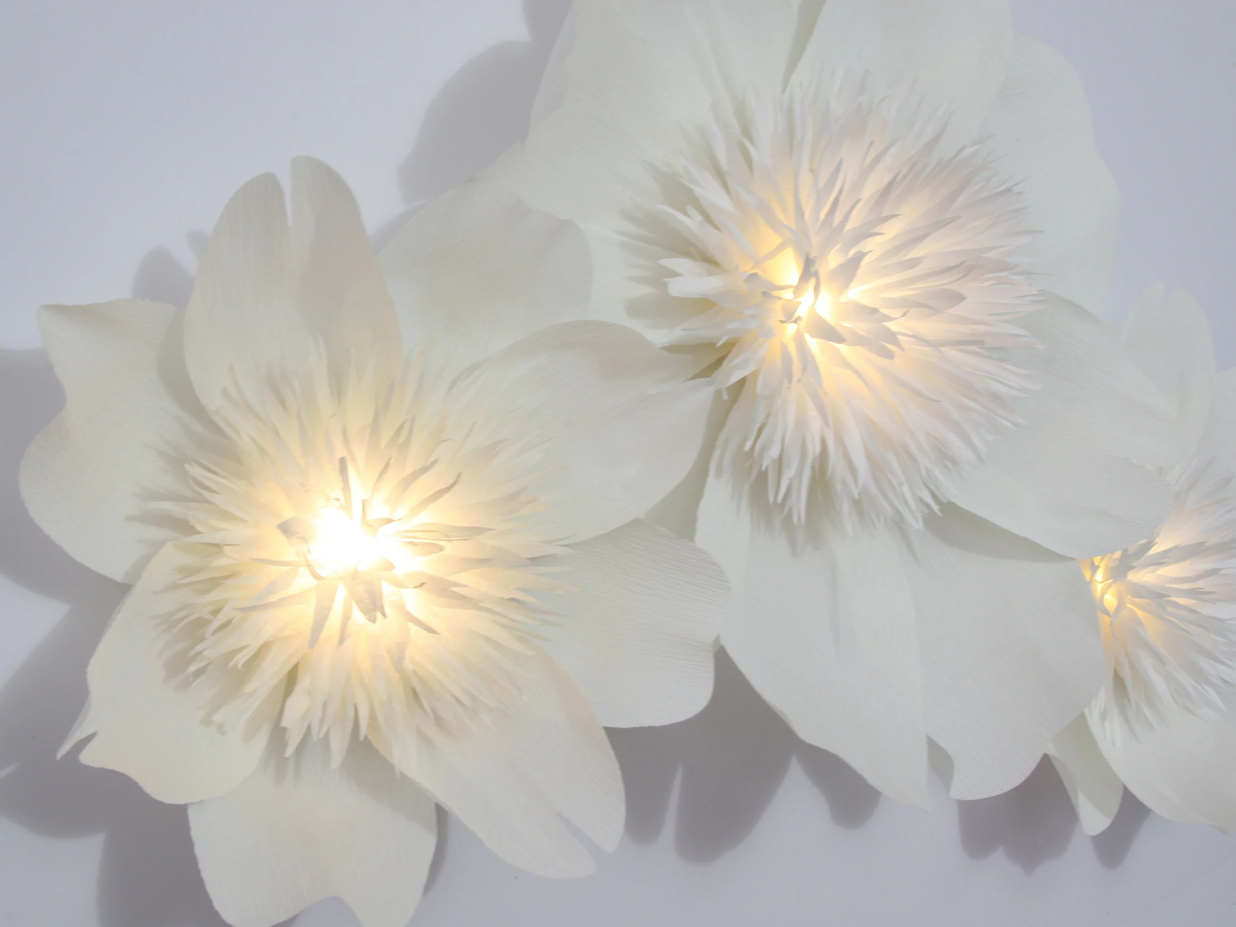 Peony Wall Flower | by Aster + Quail | www.asterandquail.com