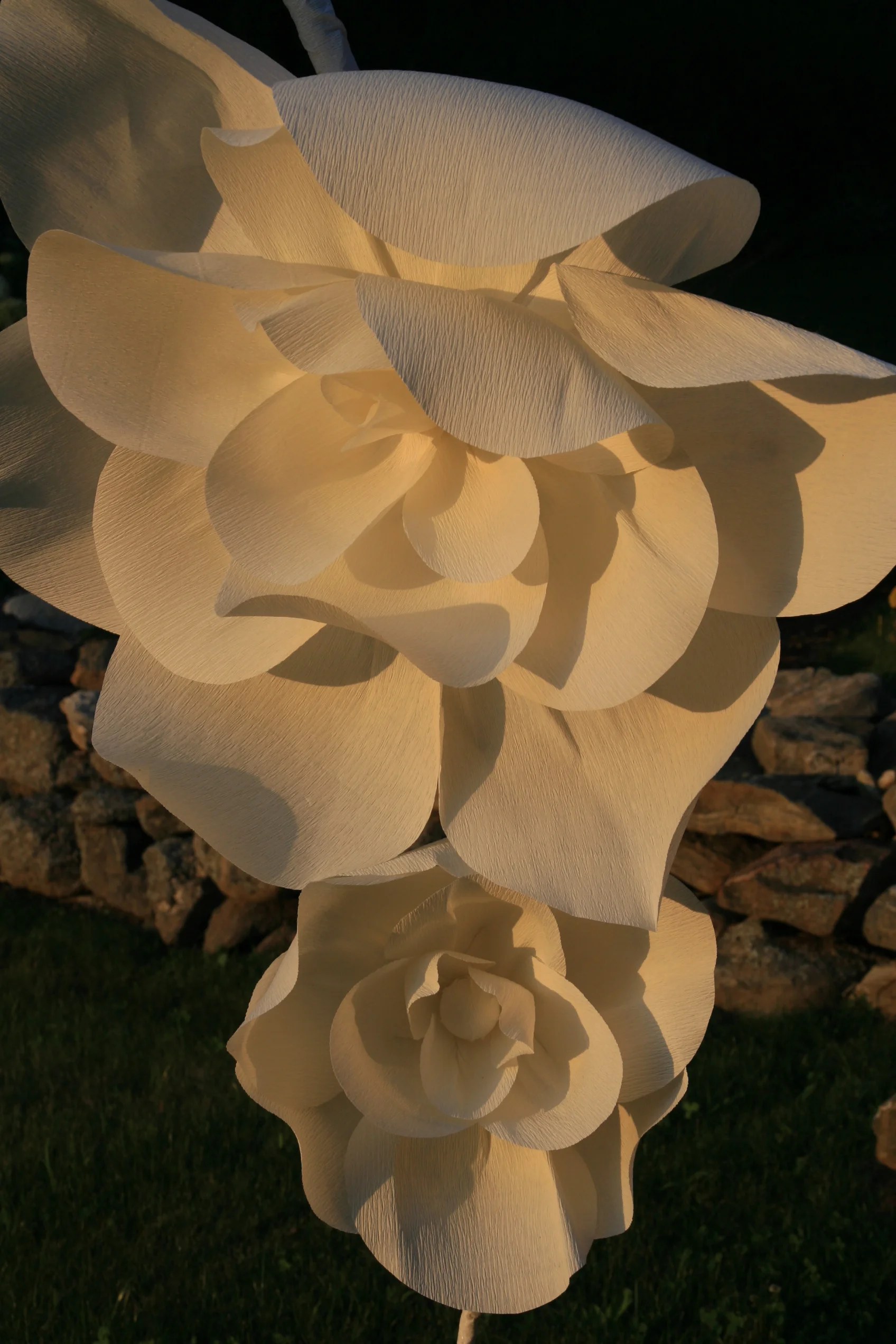 Wall Flowers | by Aster + Quail | www.asterandquail.com