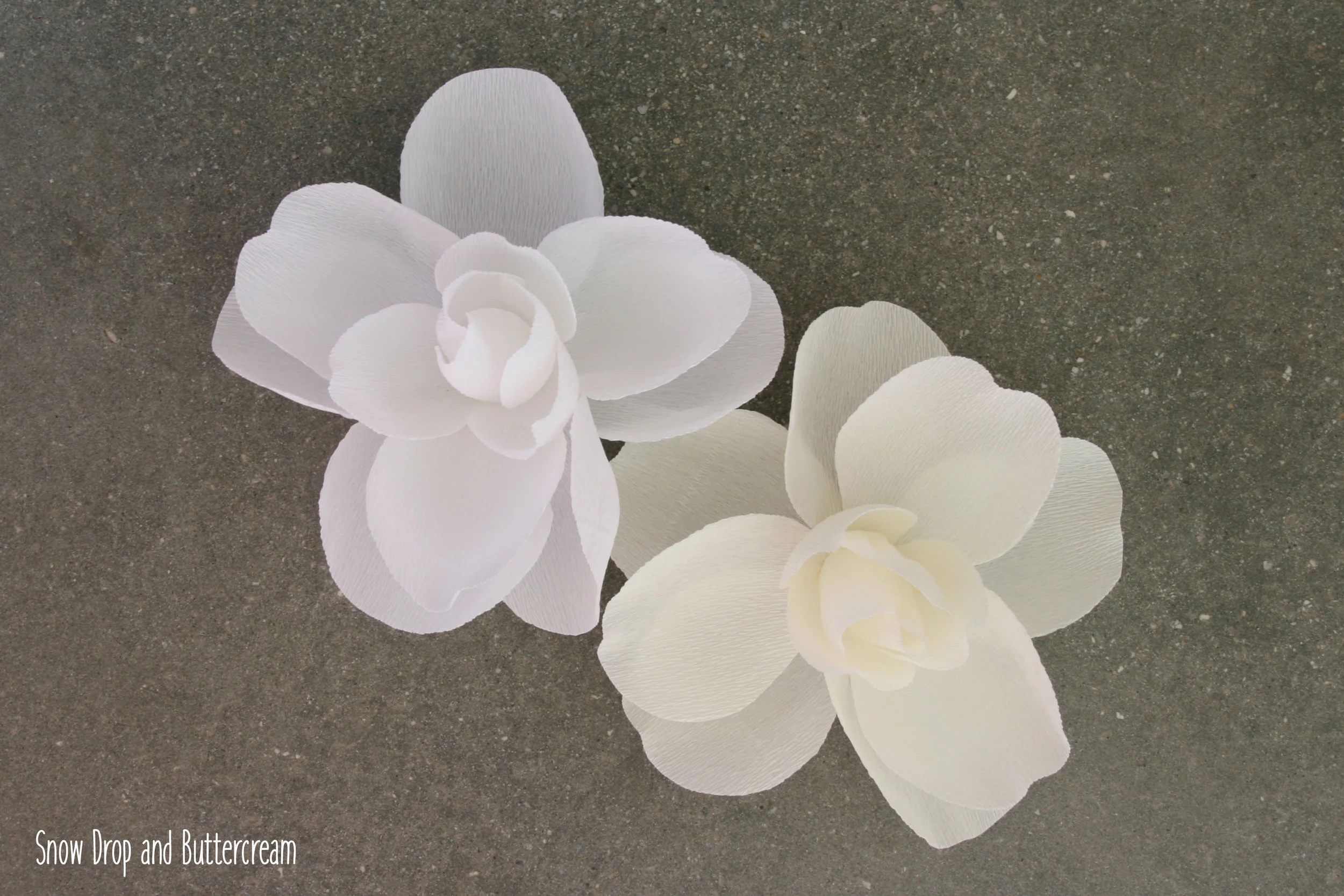 Magnolia Centerpiece | by Aster + Quail | www.asterandquail.com