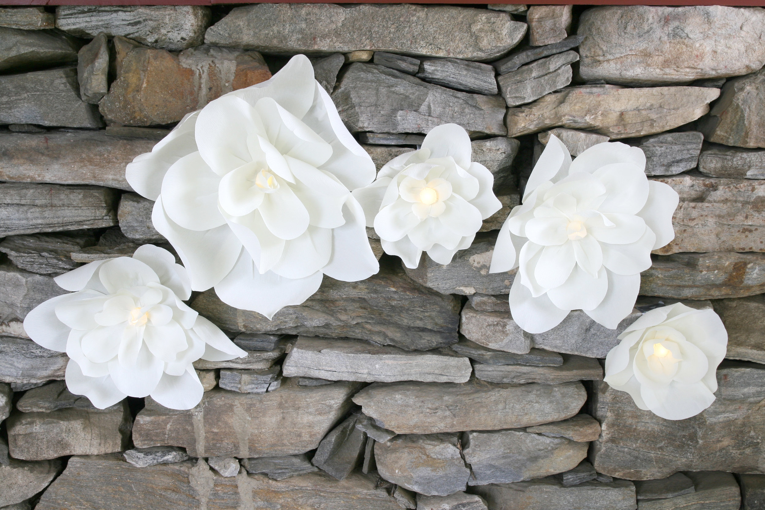 Aphrodite Wall Flower Collection | by Aster + Quail | www.asterandquail.com