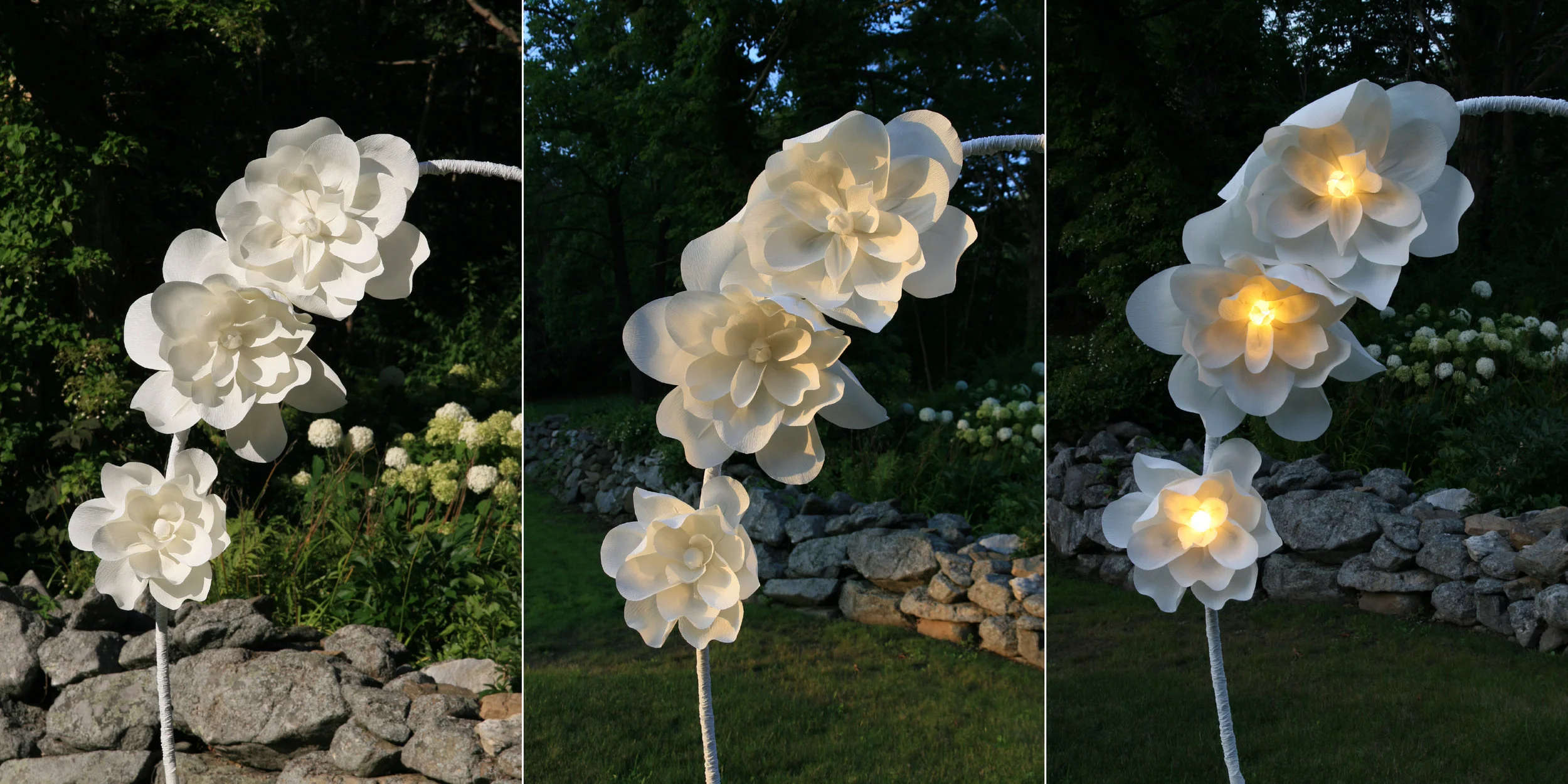 Aphrodite Wall Flower Collection | by Aster + Quail | www.asterandquail.com