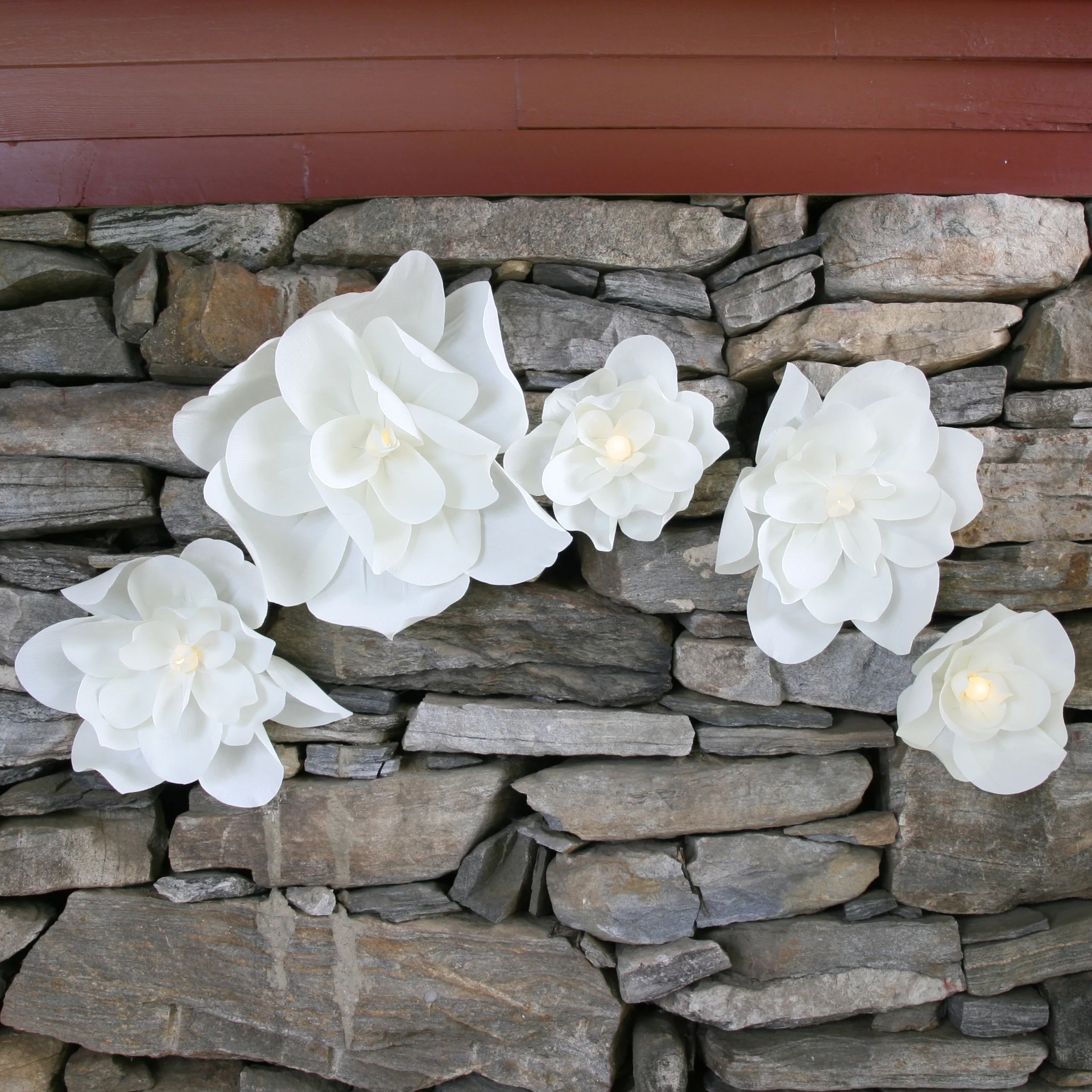 Aphrodite Wall Flower Collection | by Aster + Quail | www.asterandquail.com