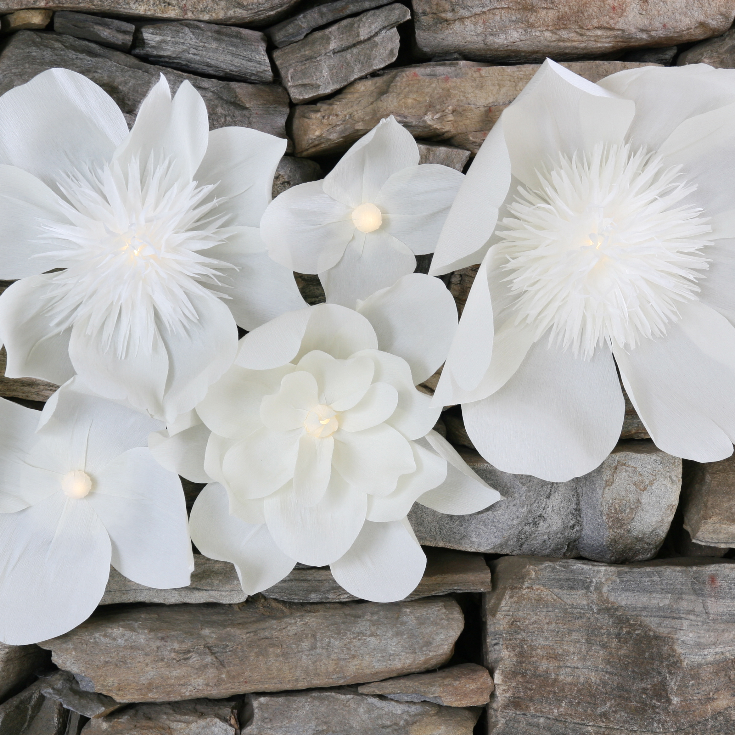 Athena Wall Flower Collection | by Aster + Quail | www.asterandquail.com