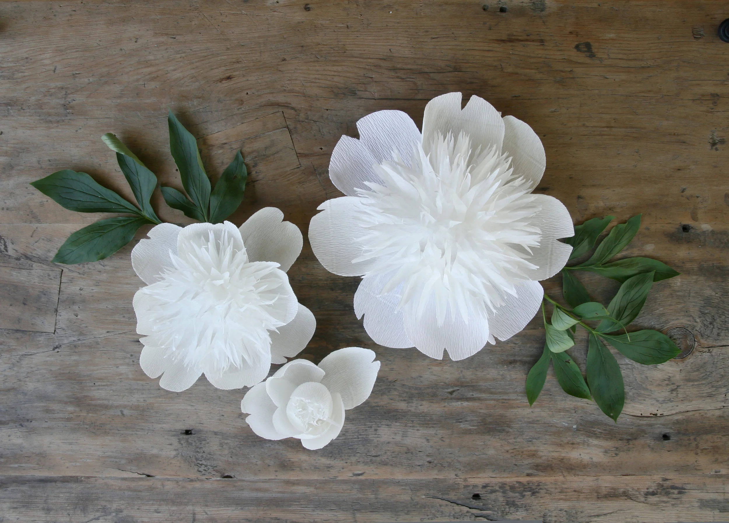 Japanese Peony Centerpiece | by Aster + Quail | www.asterandquail.com
