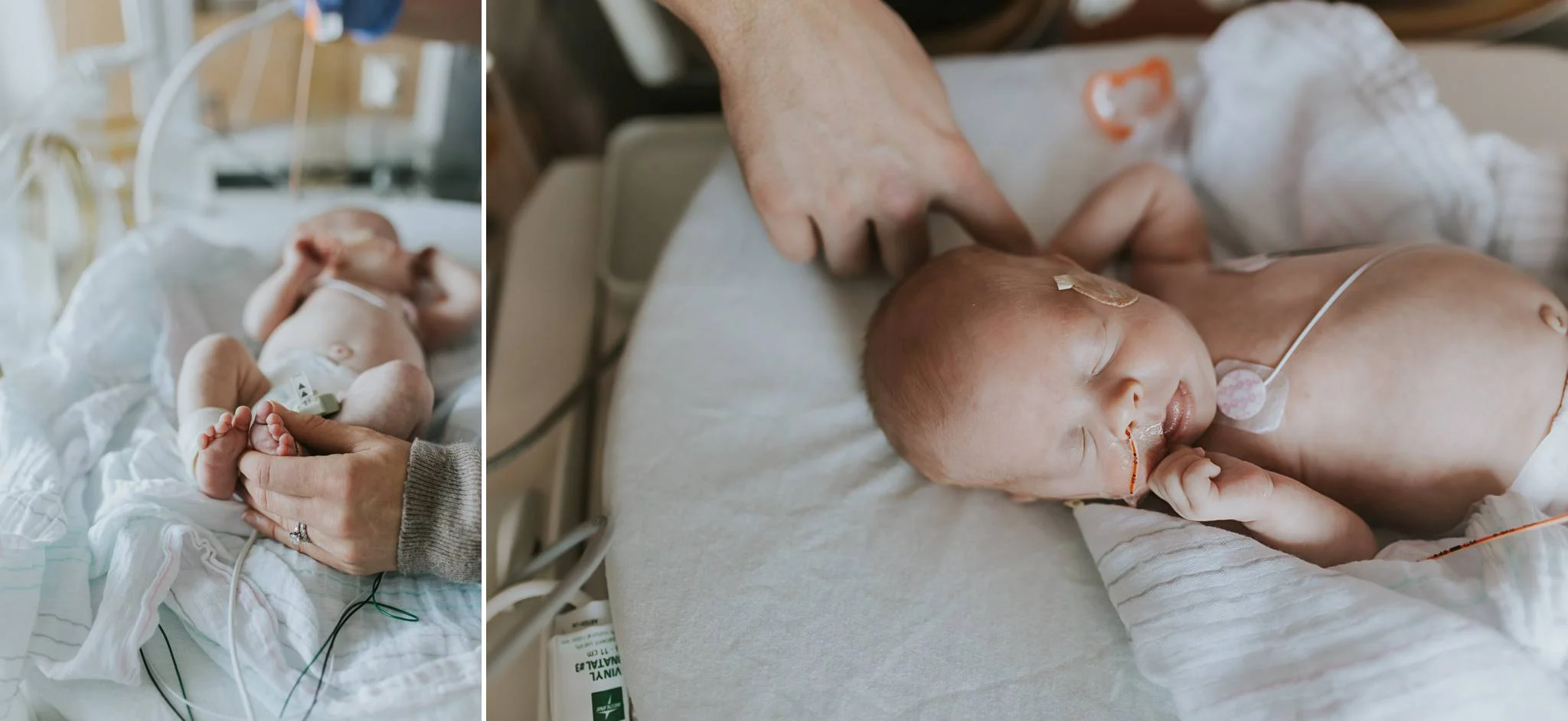 Mueller Nicu Blog 6.jpg