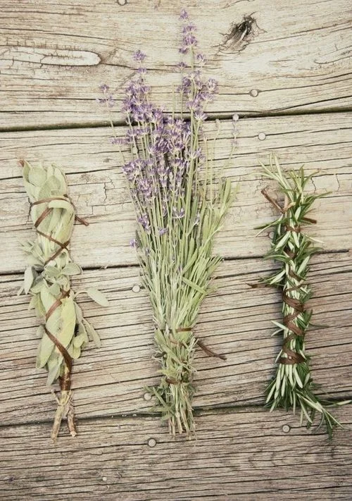 Herb mini bundles