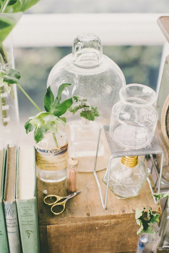 botany_table_7.jpg