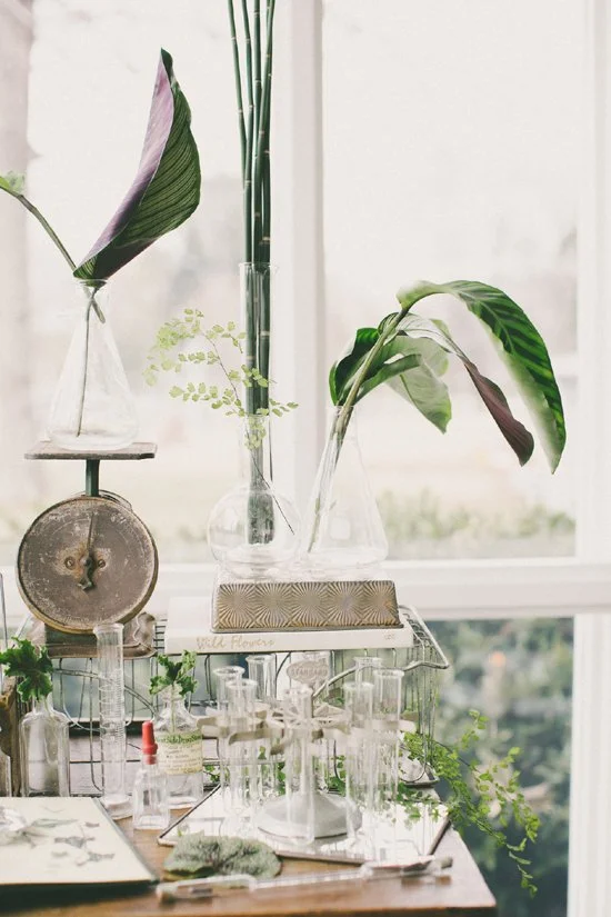 botany_table_5.jpg