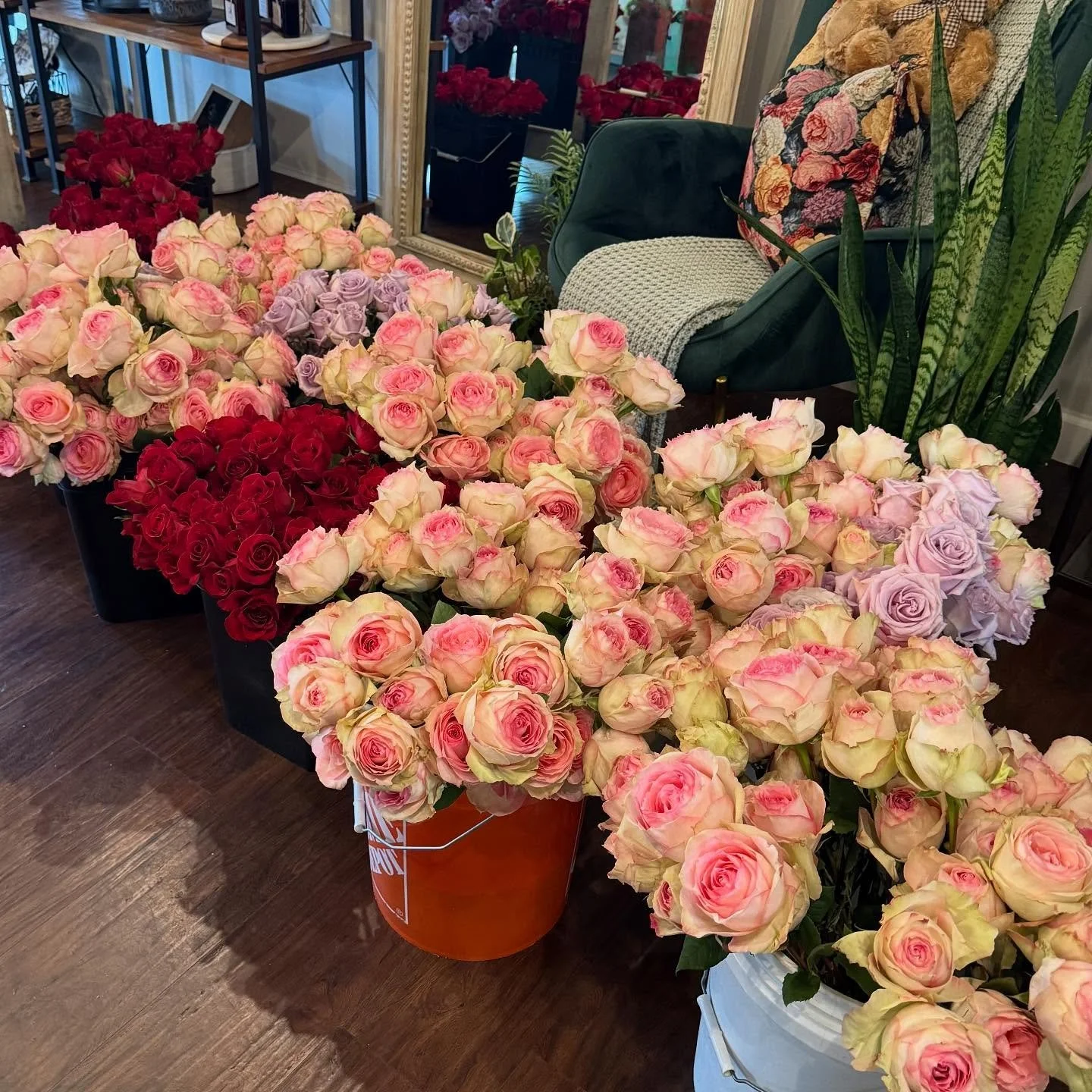 🌹✨ 2,100 roses took the stage this weekend at Cobb Energy Center for Josh Johnson&rsquo;s comedy show. From intimate bouquets to show-stopping statements, Blooms brings flowers into the spotlight across Atlanta.

Follow along for more behind-the-sce