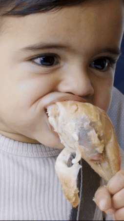 chicken_01.gif
