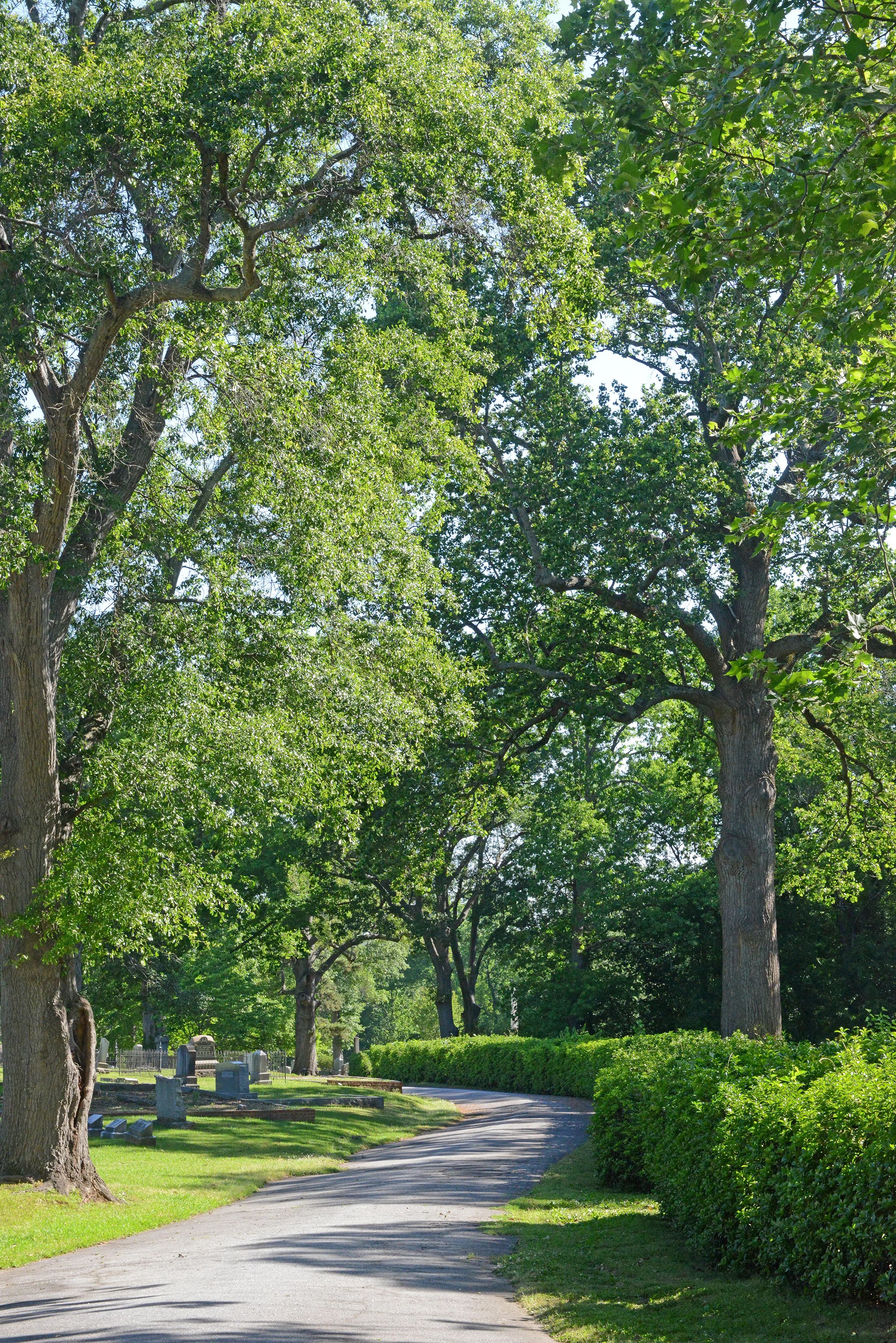 image3.jpg