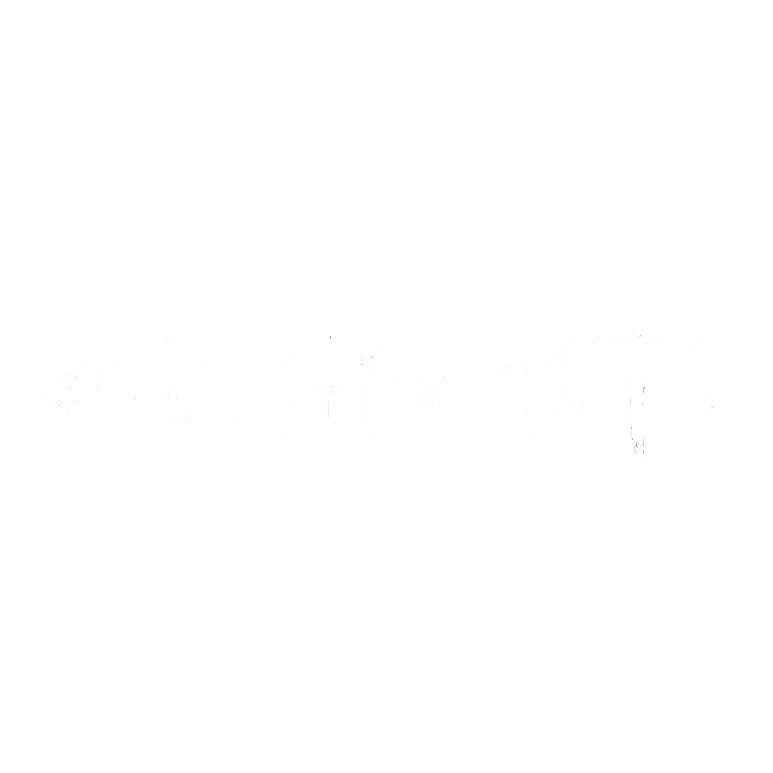 logo2.png