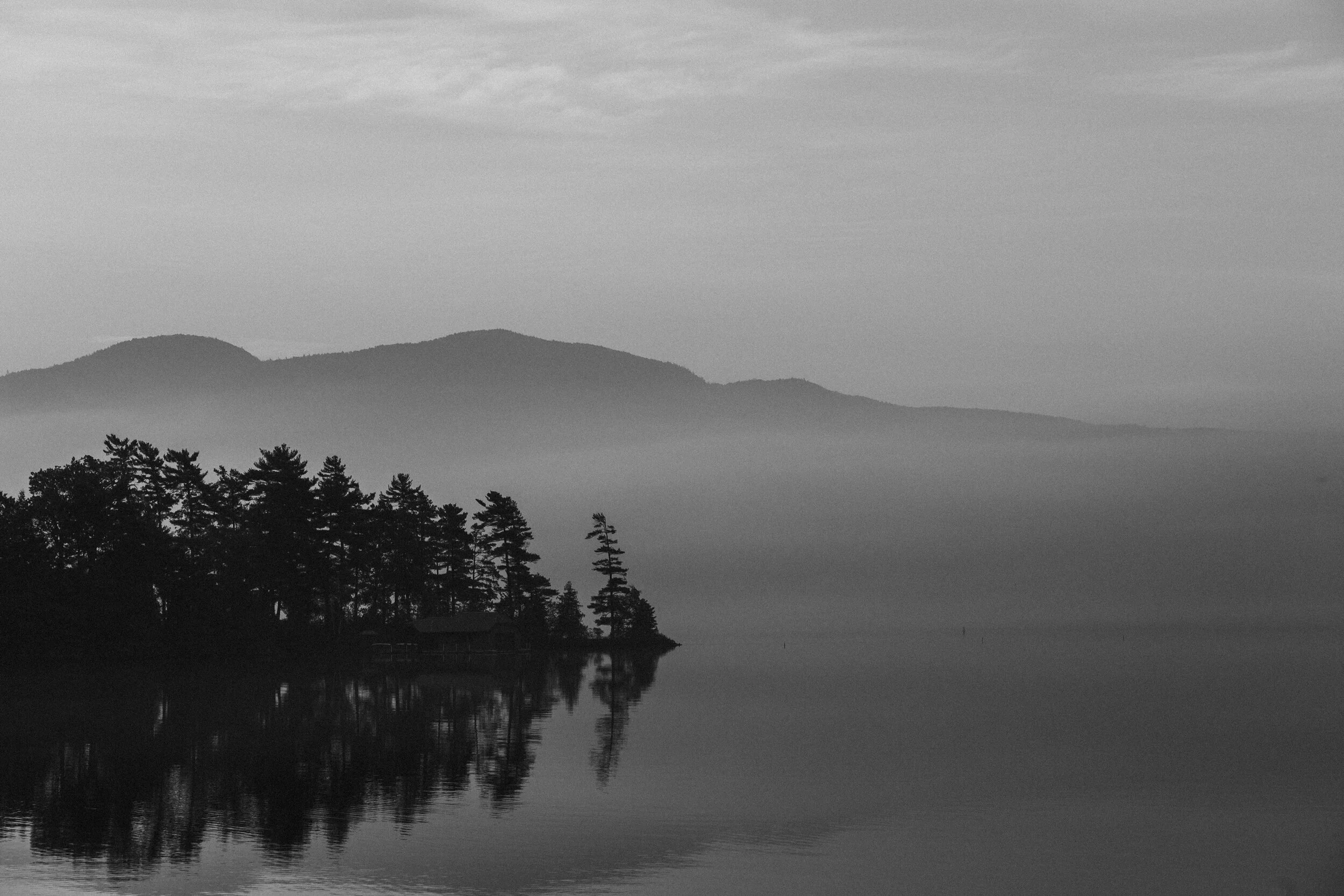 PRINT SHOP - purchase some  fine art prints to support the&nbsp;NAACP Legal Defense and Educational Fund 