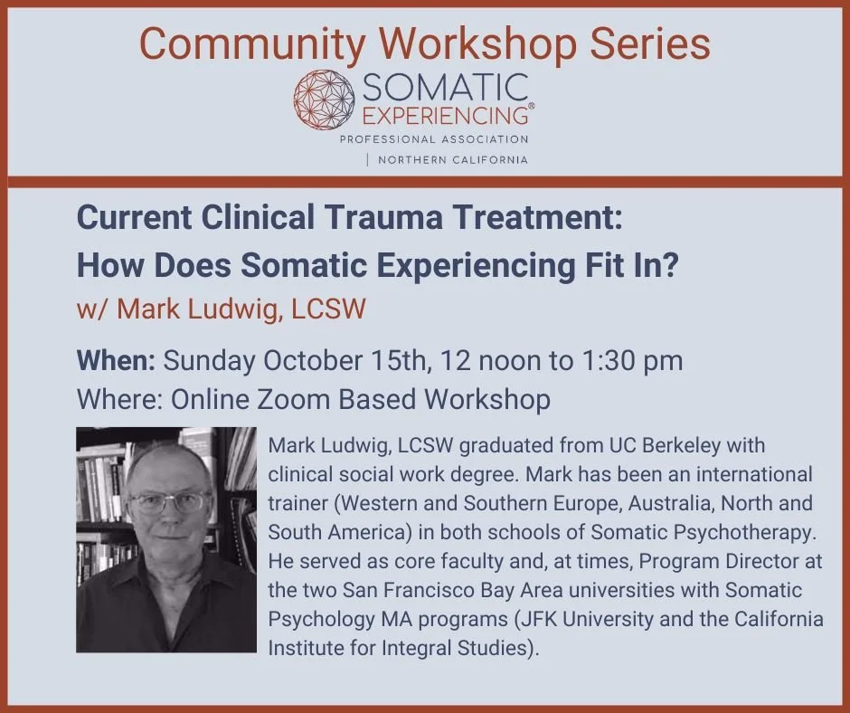 Speaker Series: Current Clinical Trauma Treatment: How Does Somatic Experiencing Fit In? &nbsp; w/ Mark Ludwig, LCSW, SEP