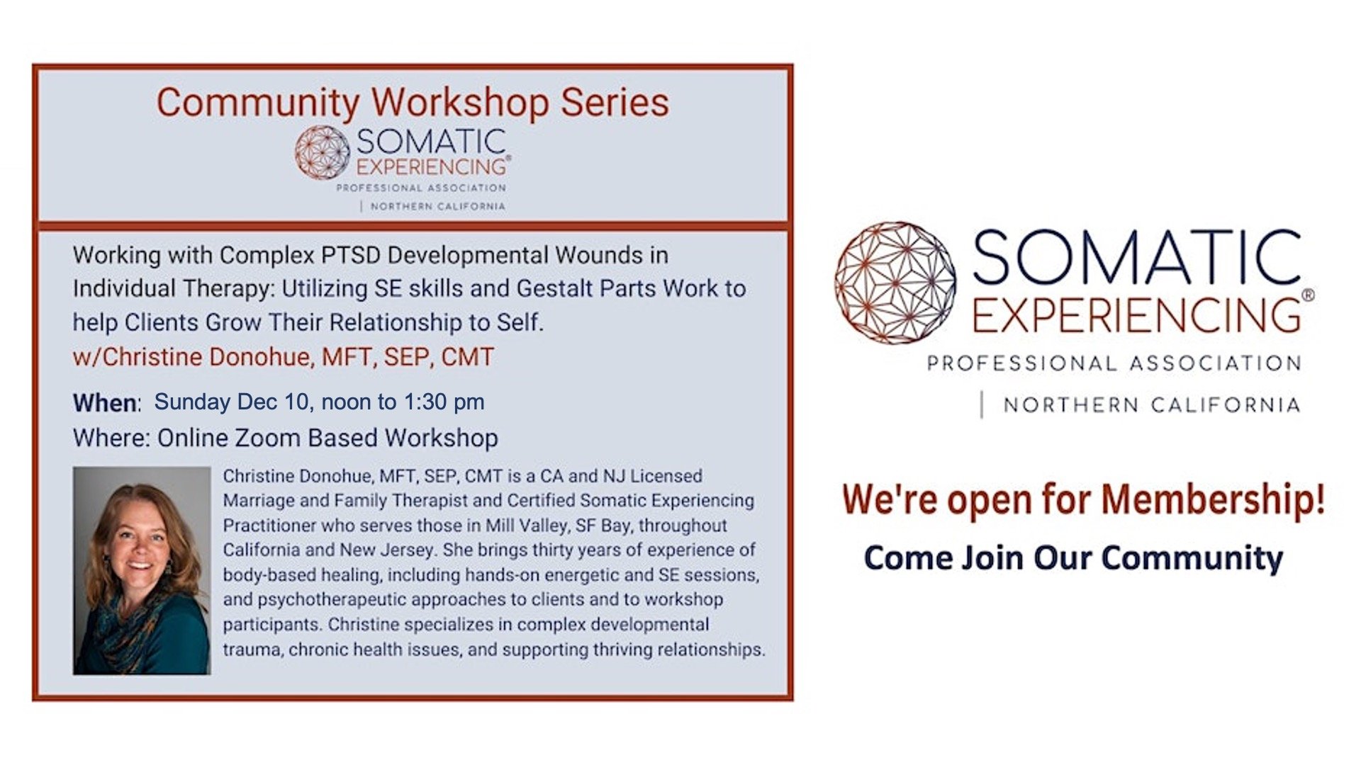 Working with Complex PTSD Developmental Wounds in Individual Therapy