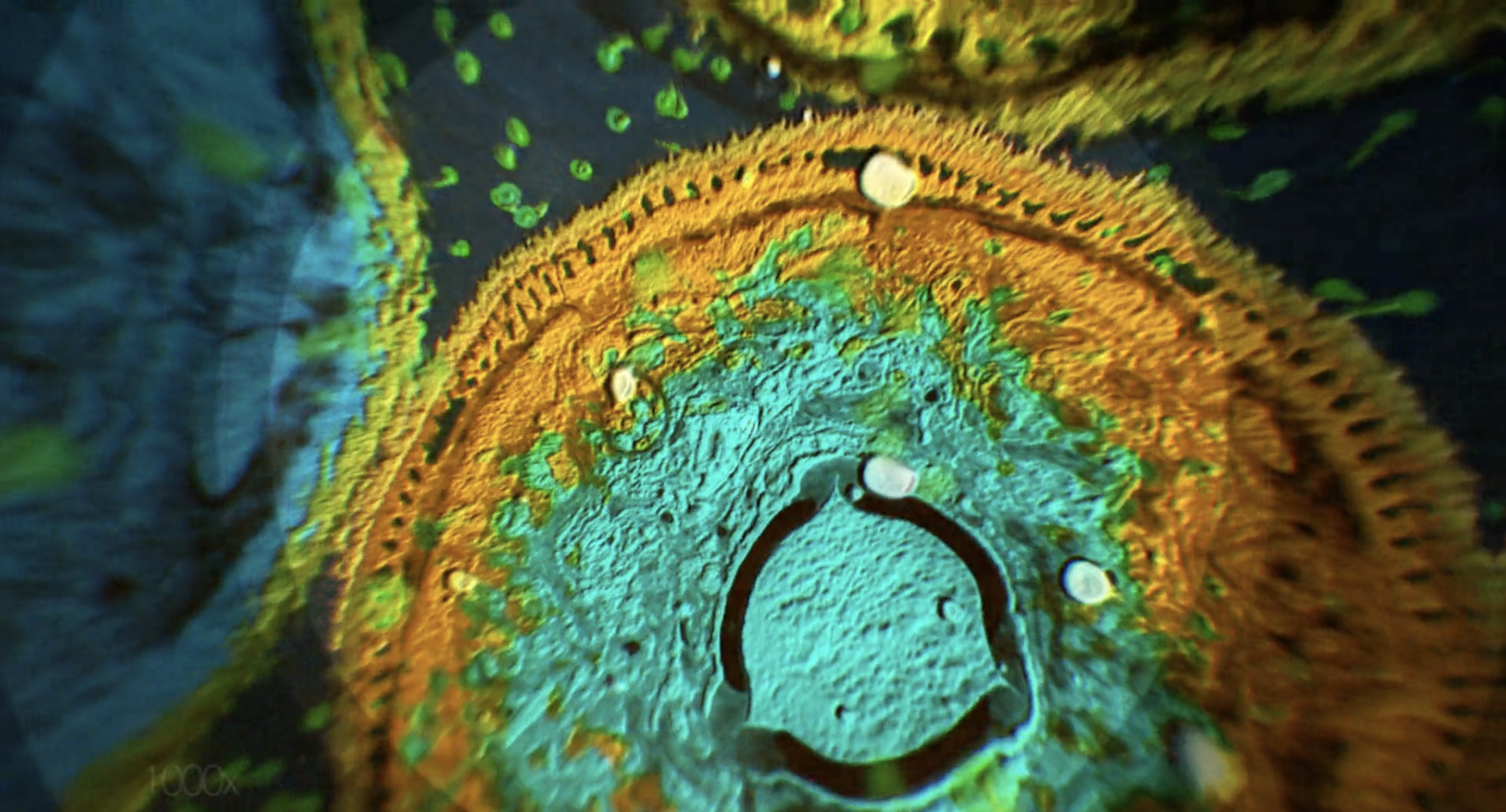 Screen Shot 2016-08-05 at 1.55.36 PM.png