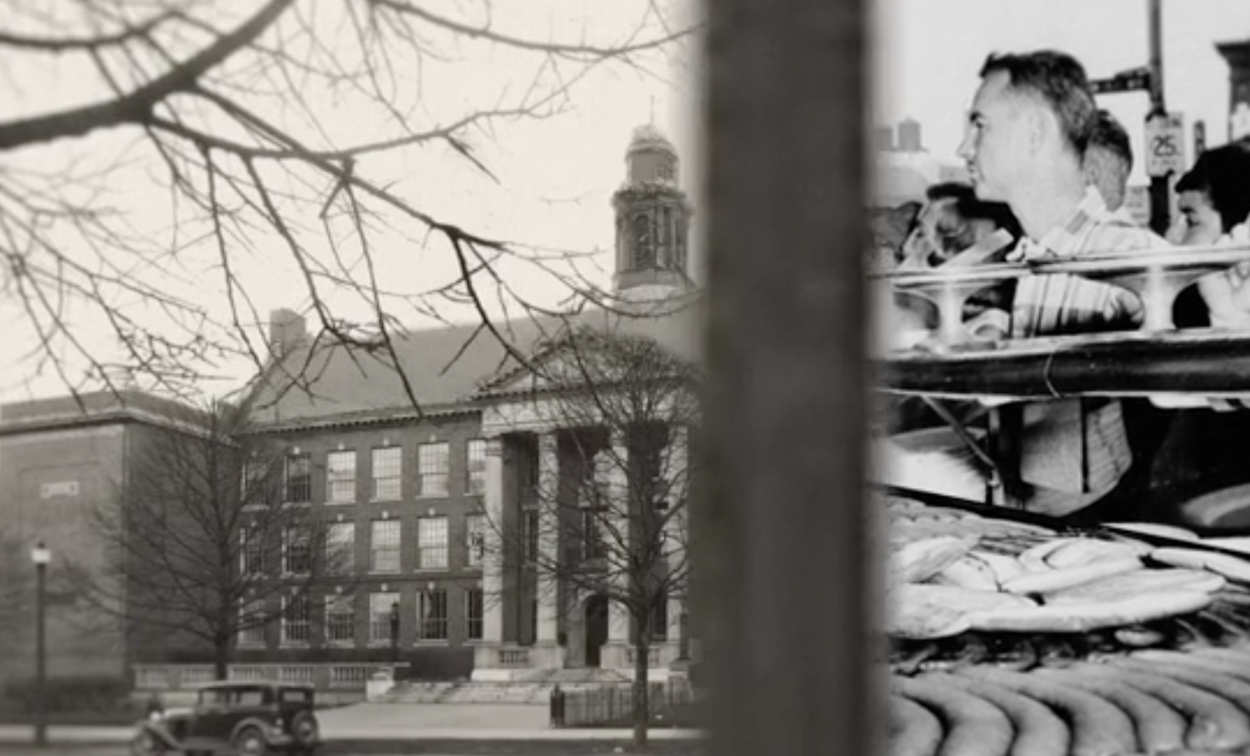 Screen Shot 2016-08-08 at 4.38.19 PM.png