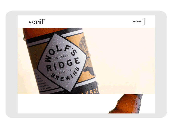 srf-case_study_video.gif