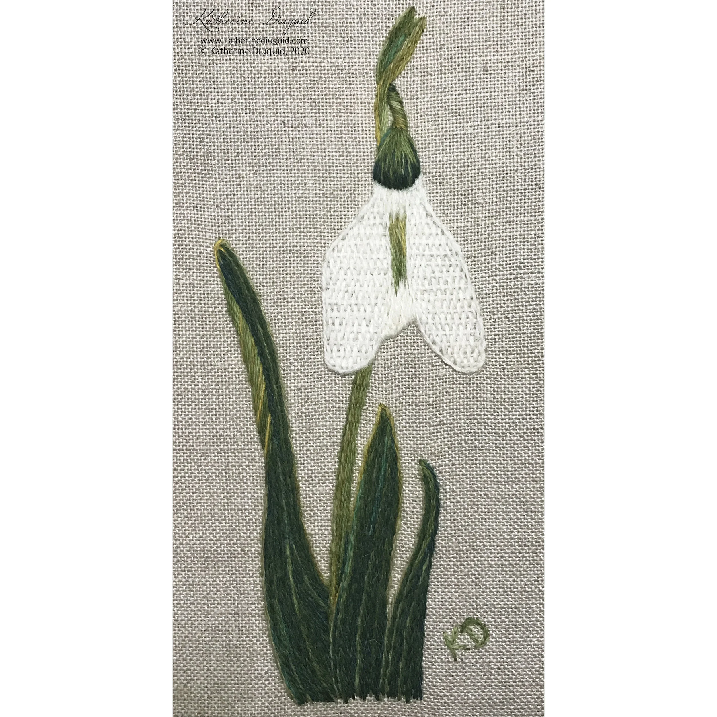 Snowdrop-KDiuguid-final-square.jpg