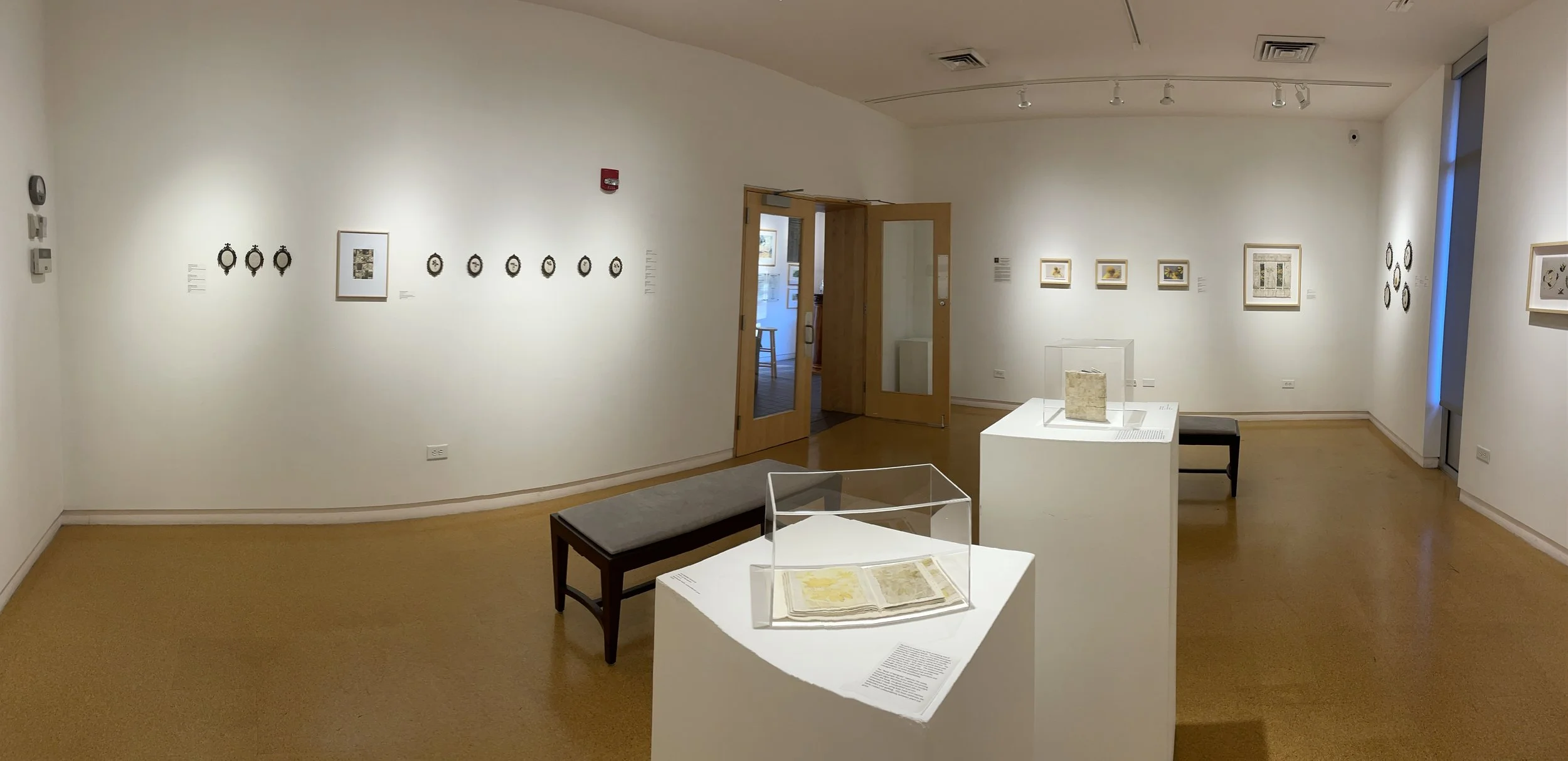 Photo Feb 11, 5 13 19 PM.jpg