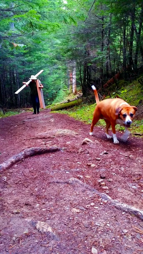 The boss making sure everything goes smoothly.