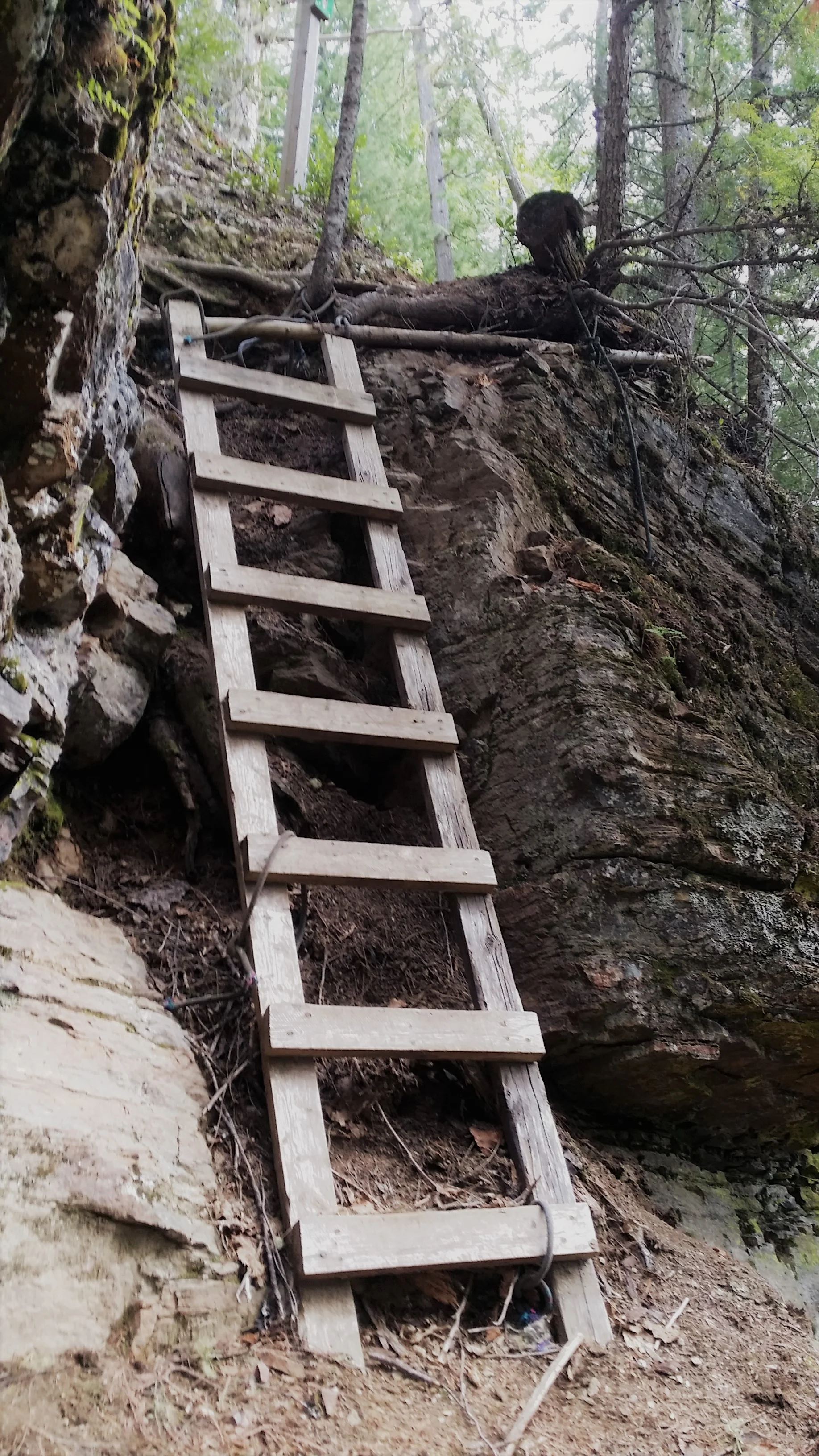 The old wood & rope ladder