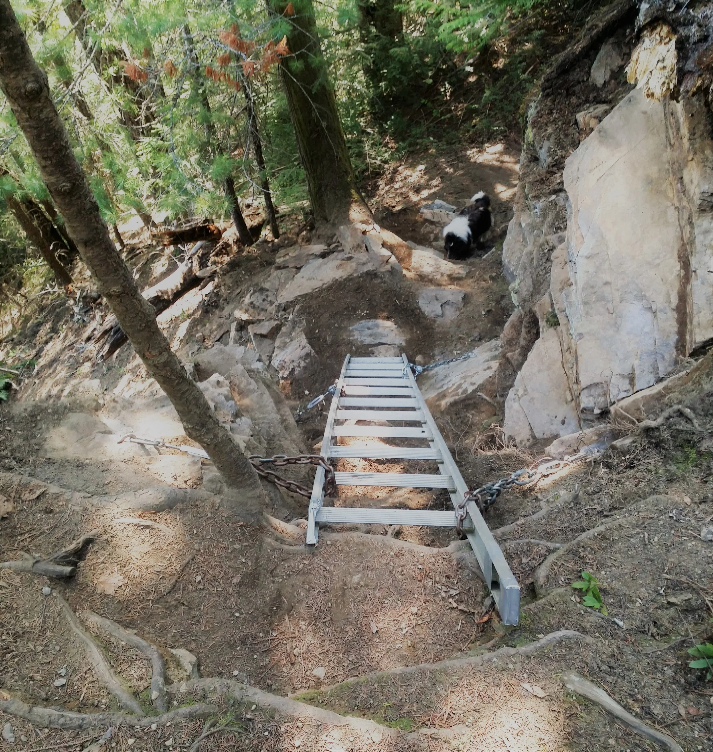 20180516_155739.jpg