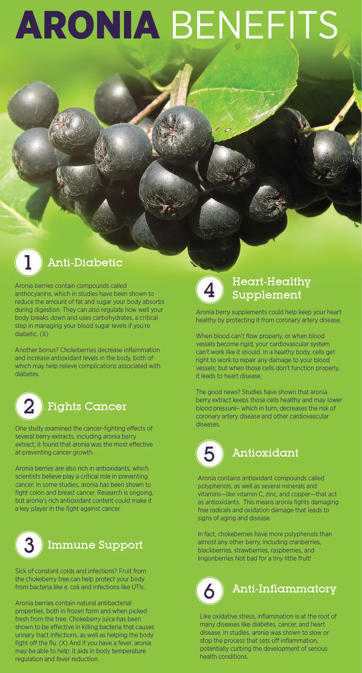 Aronia-Benefits.jpg