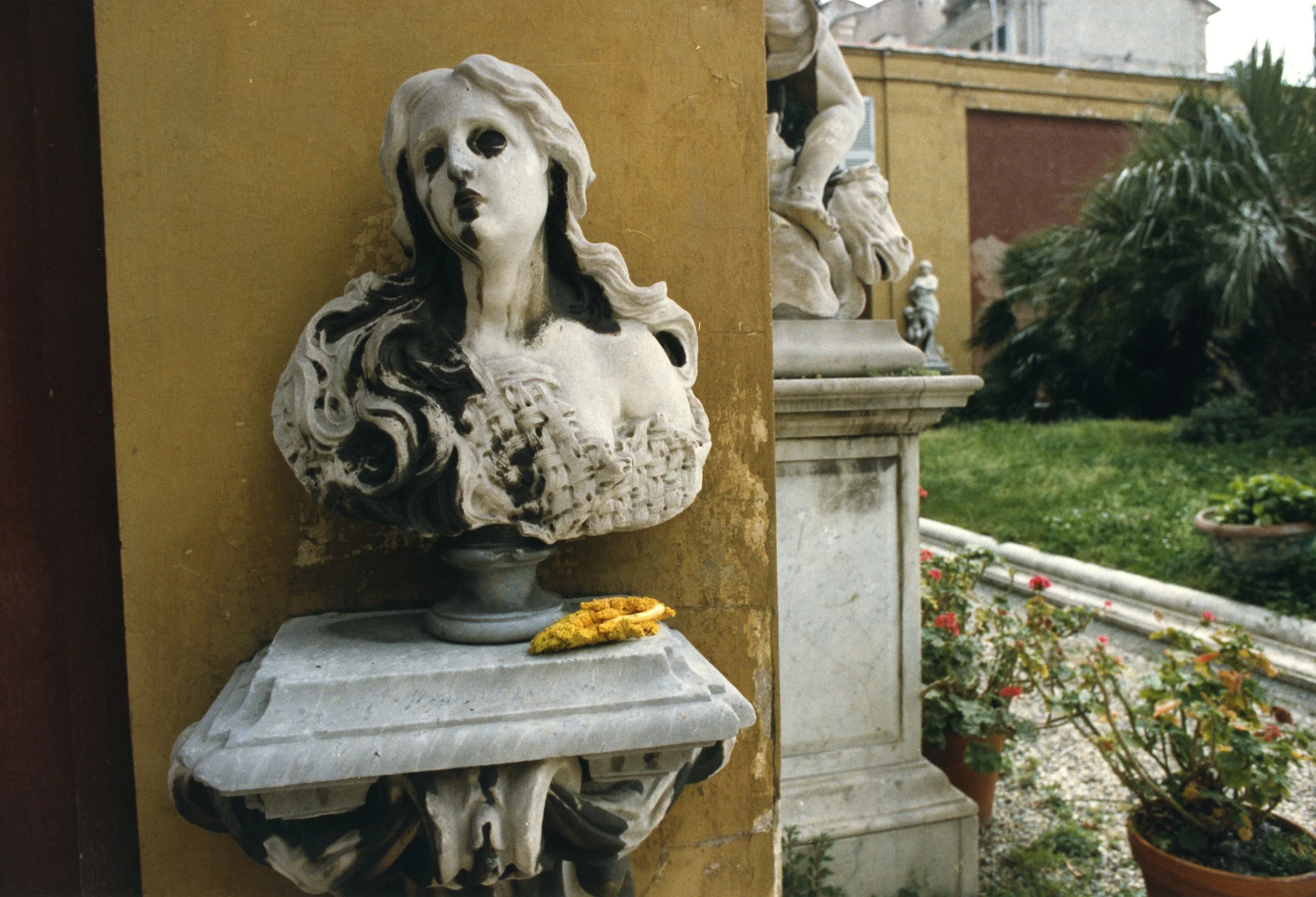 img114.jpg
