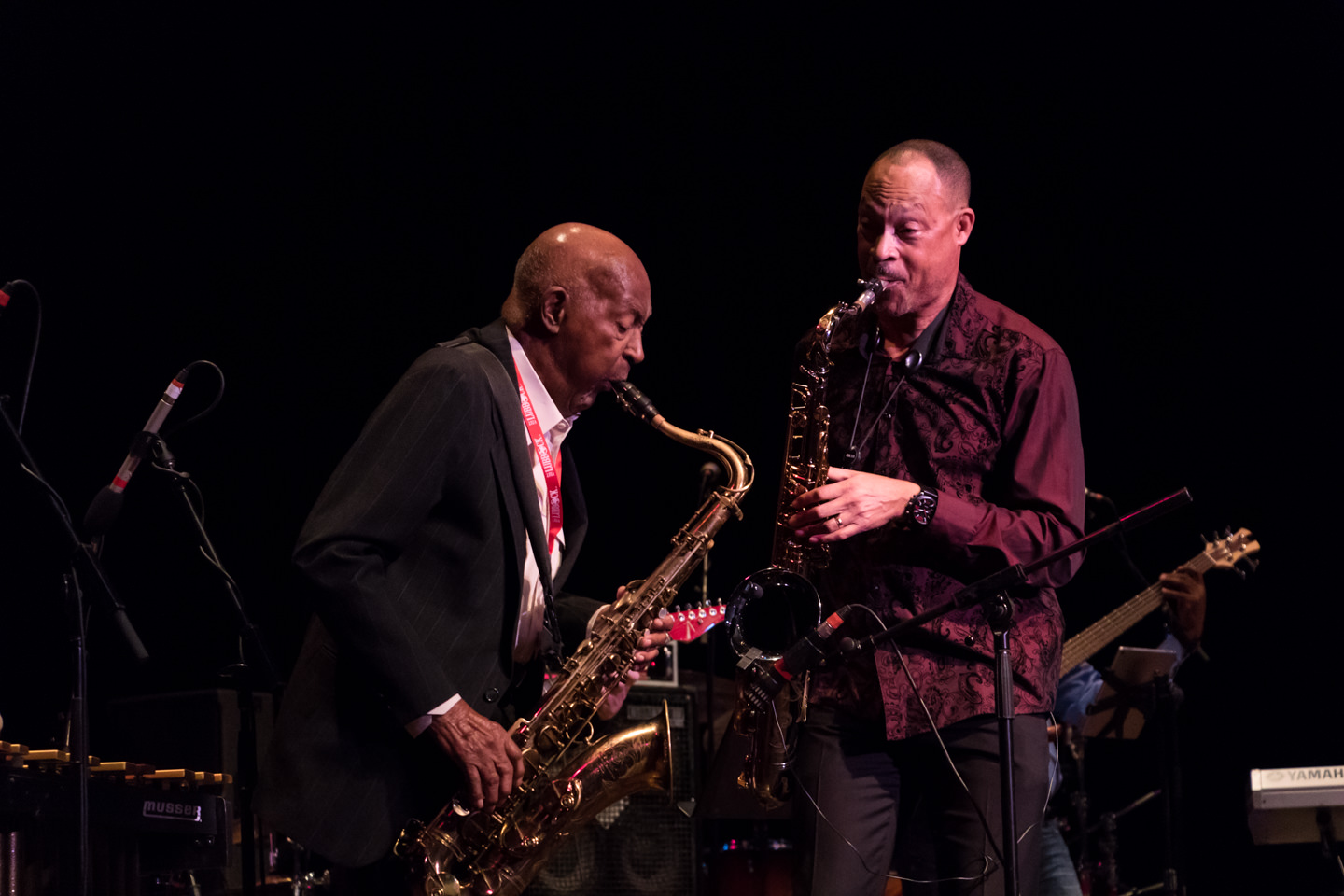 Jazz Festival 2016-8049-Web.jpg