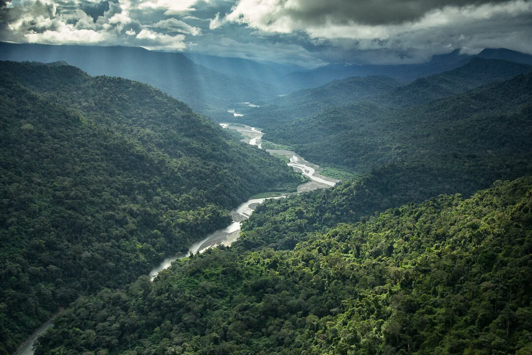 Amazon rainforest