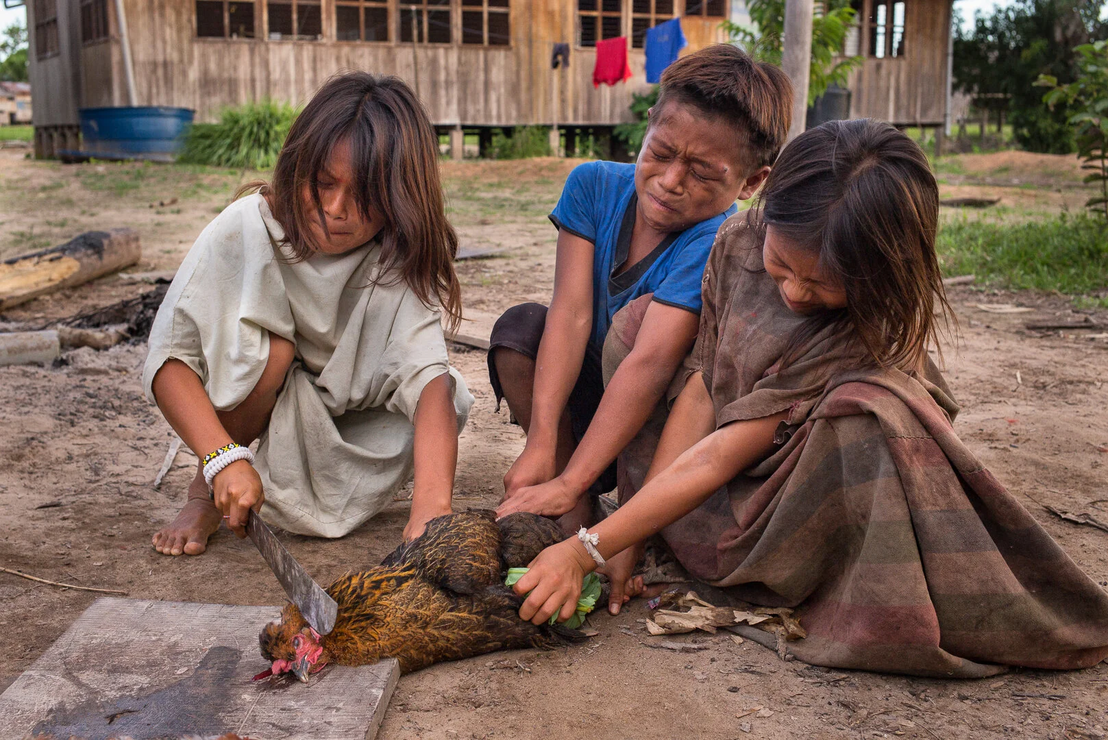 Killing a chicken