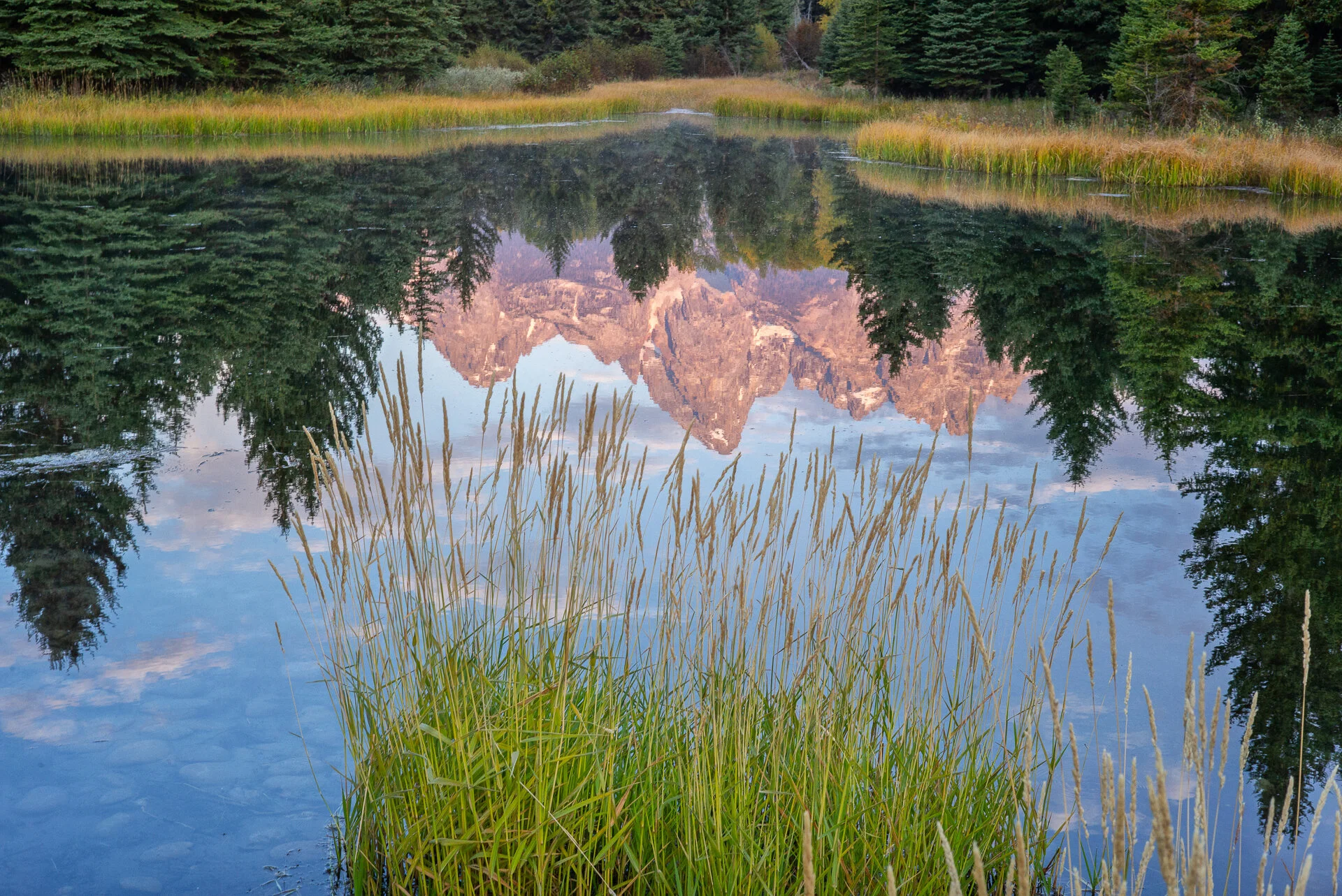 Beaver pond
