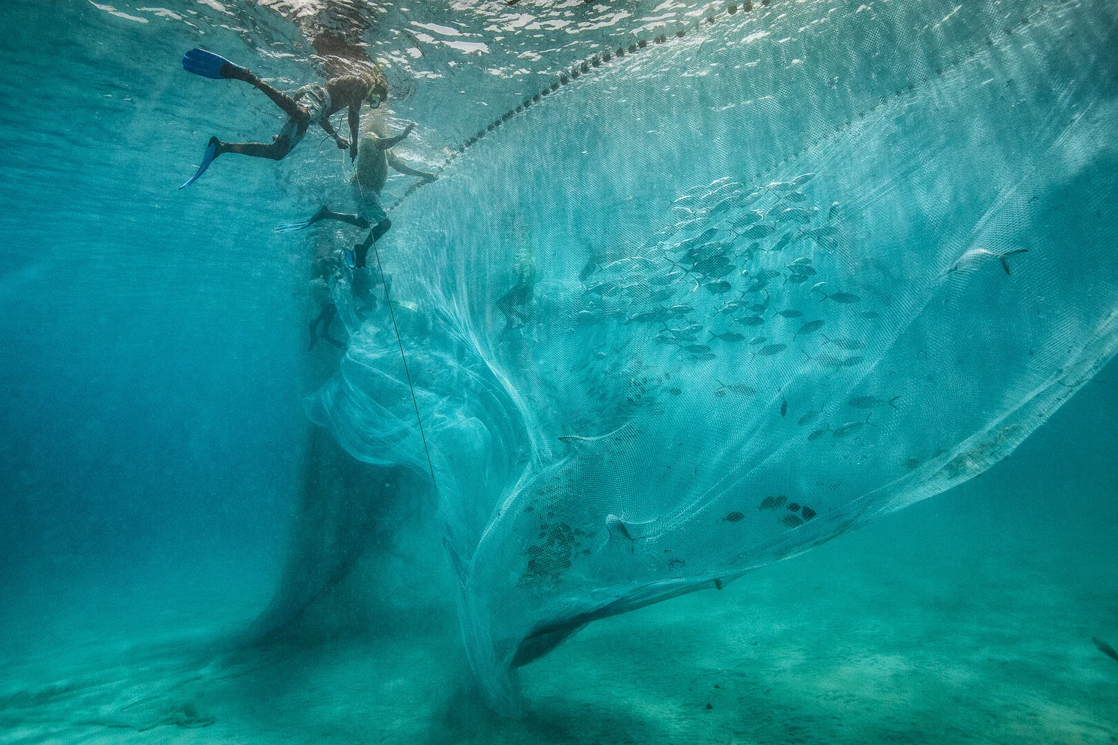 Net fishing